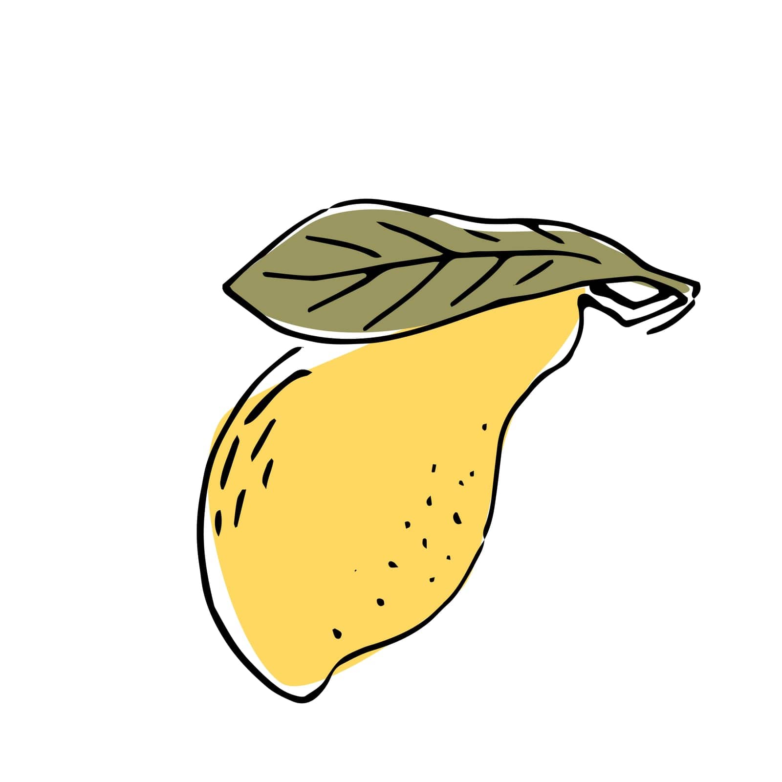 Hand drawn Mango fruit with leaves - ink sketch with color by Bissekeyeva