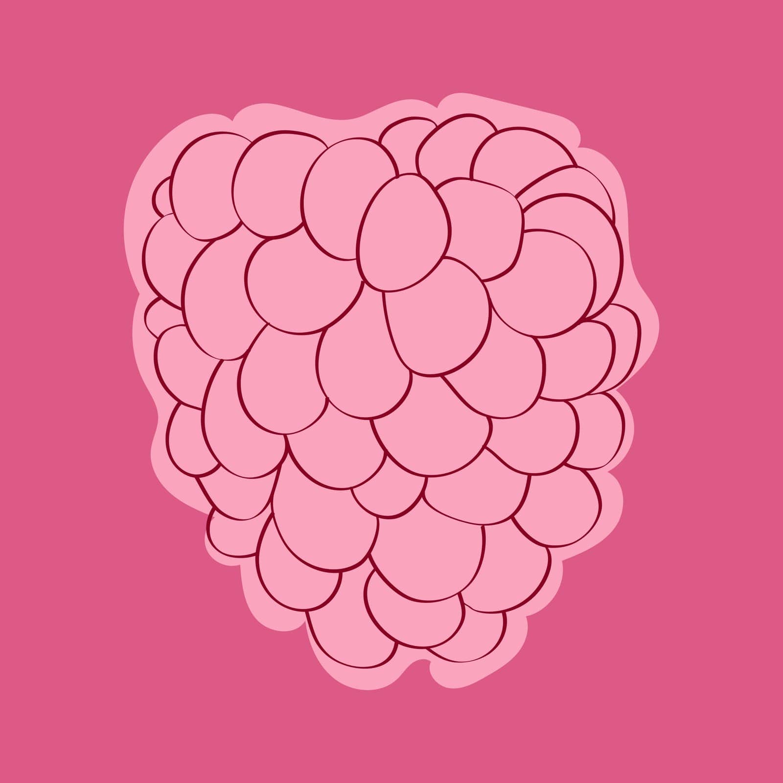 Hand-painted raspberry is placed on a solid pink background. The setting creates a vibrant and visually appealing composition