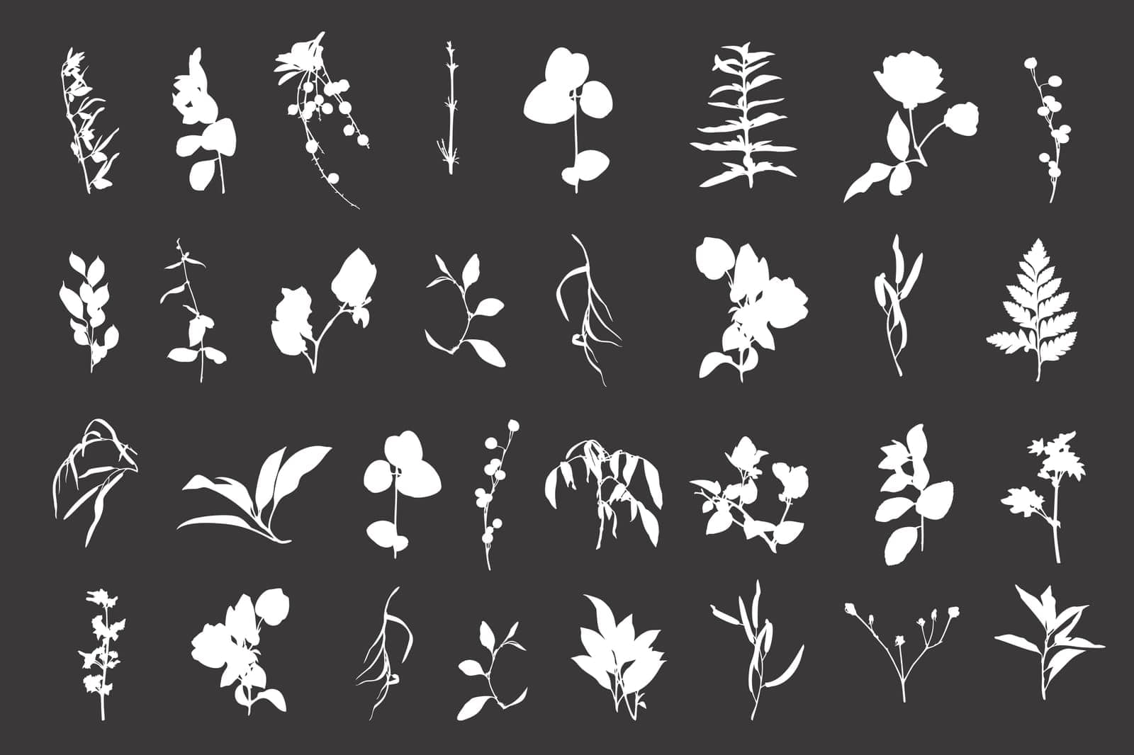 Tropical Floral Silhouettes Set Hand Drawn Plants by katrinelly