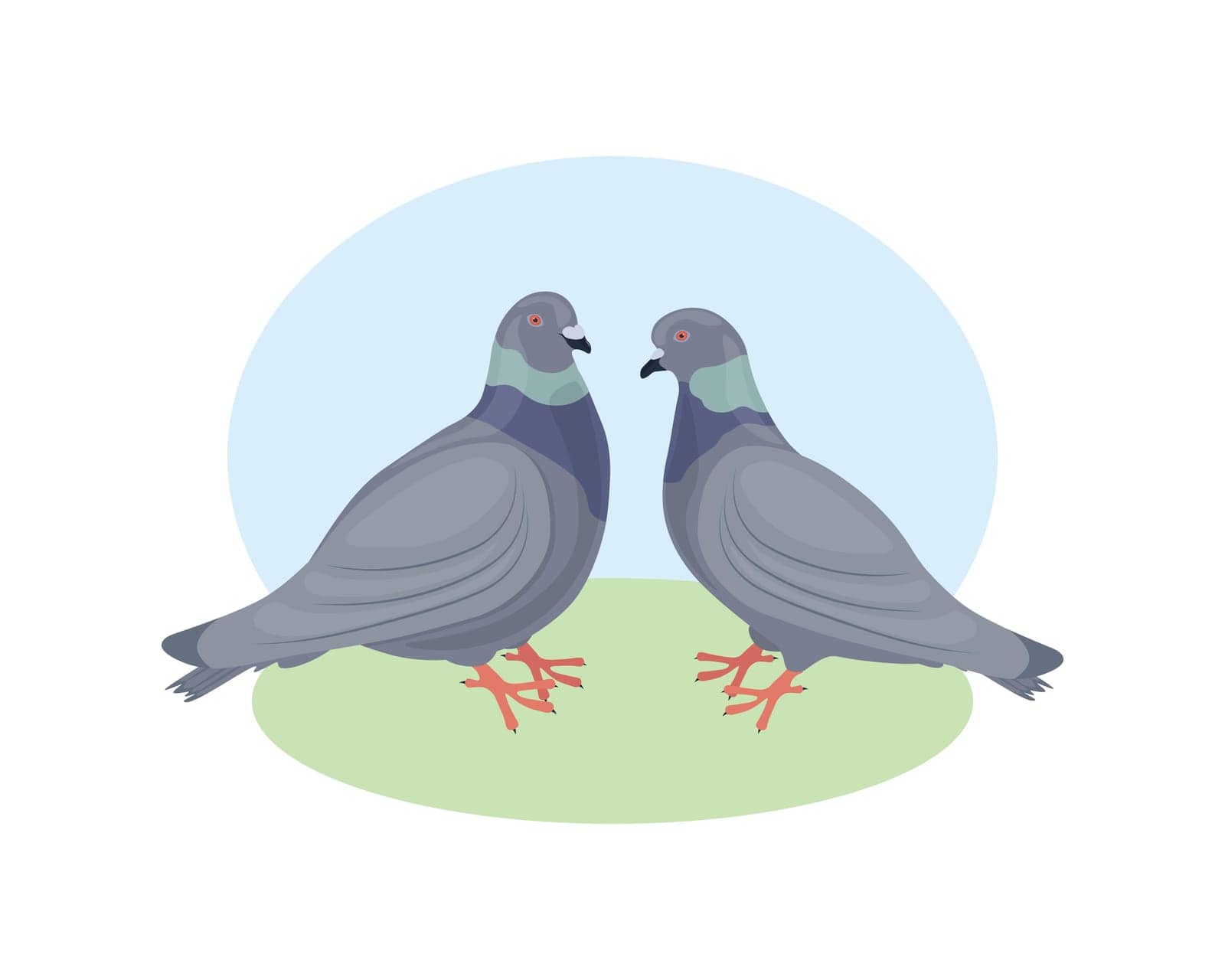 Pigeons. Two pigeons look at each other. Pigeon and dove. Urban birds. Vector illustration on a white background.