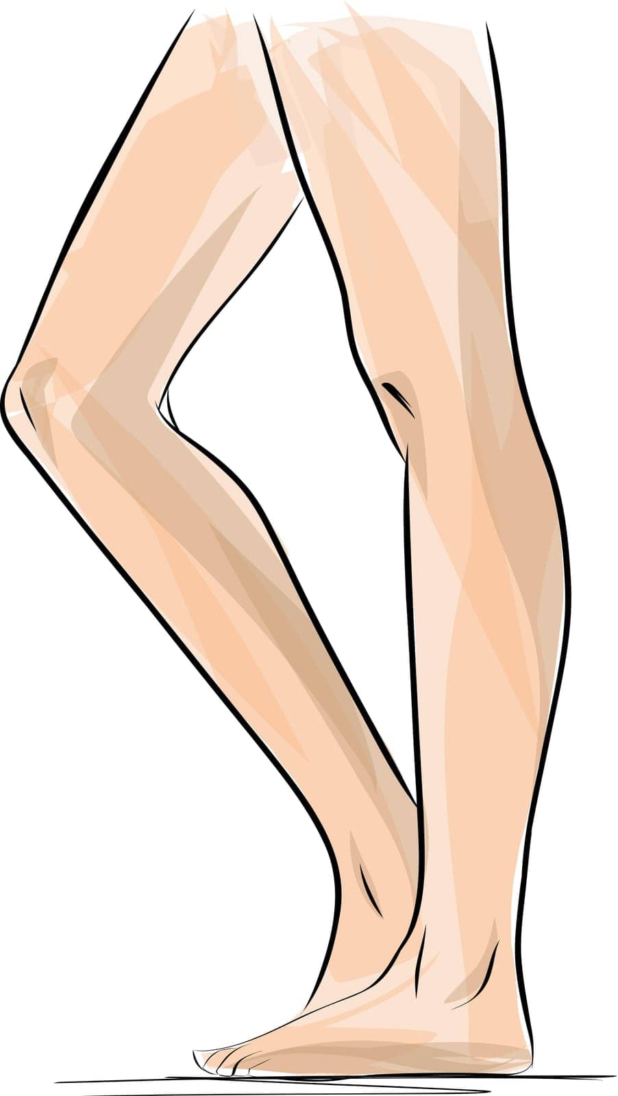 Silhouettes of lady legs and feet, vector illustration Slim, long, and elegant woman legs and feet. Legs design elements.
