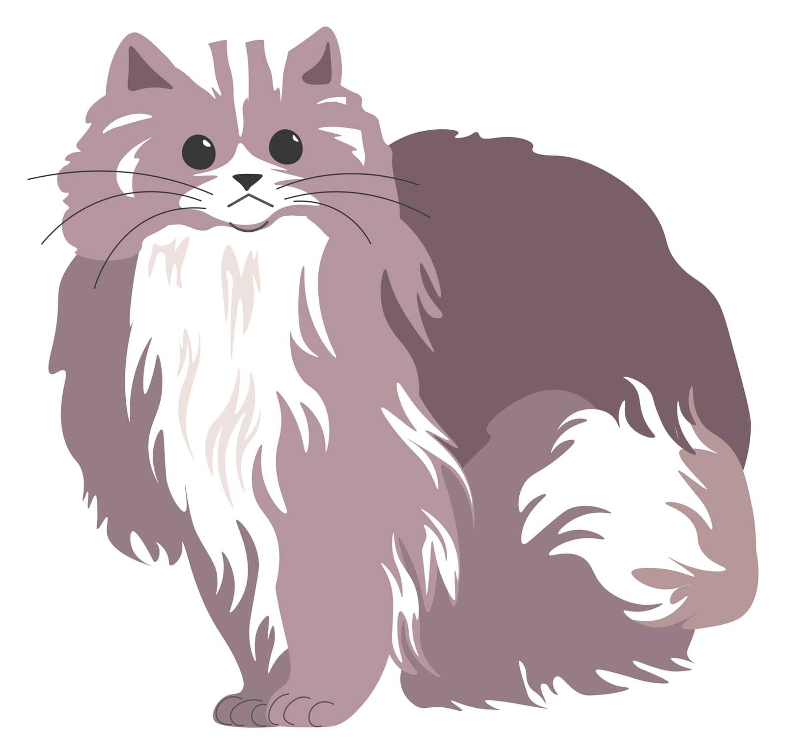 Portrait of furry kitten with long whiskers and hair. isolated cat of purebred, feline animal domestic pet looking with curiosity and sitting still. Funny muzzle of kitty. Vector in flat style