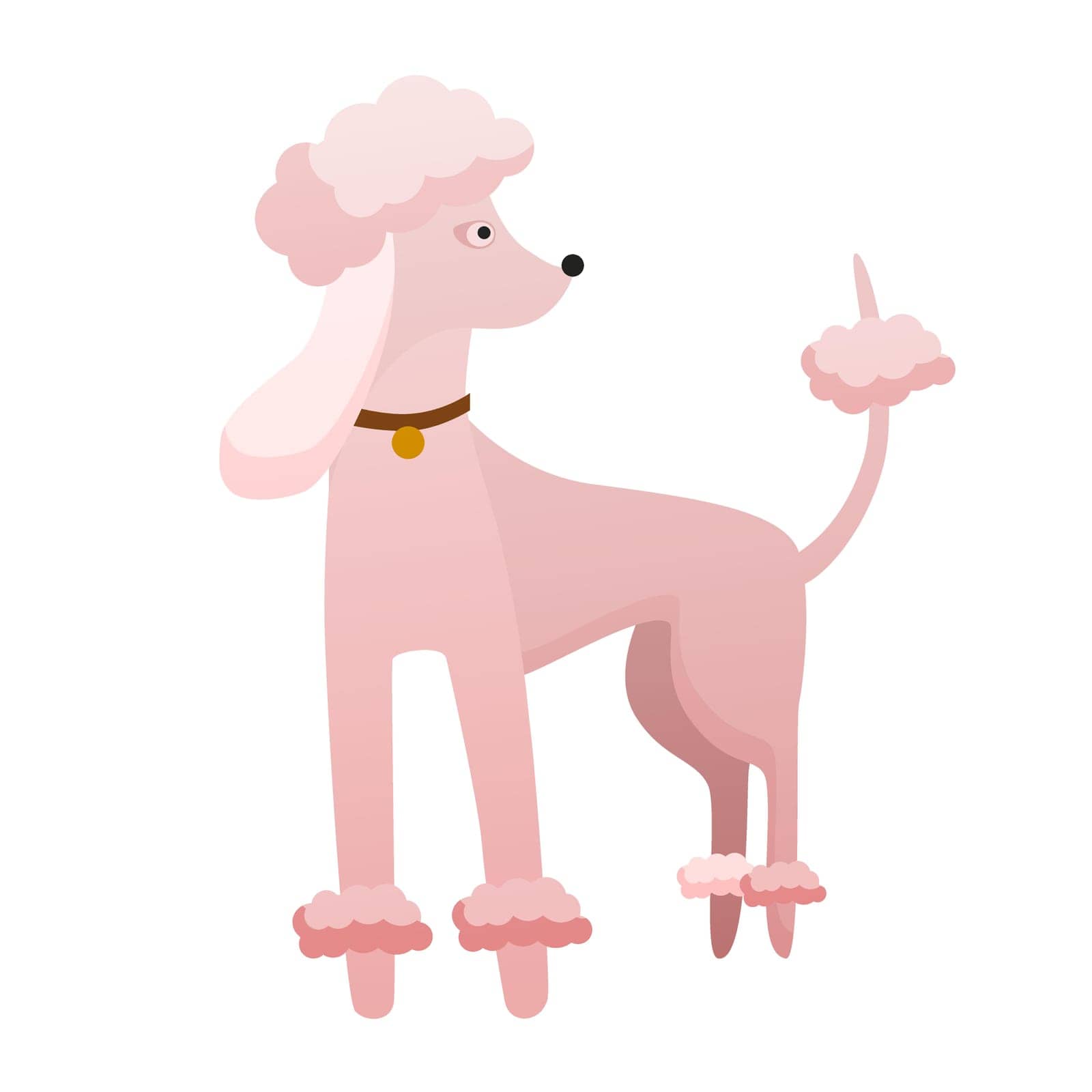 Stylish poodle dog. Domestic loyal pet, family puppy friend vector cartoon illustration
