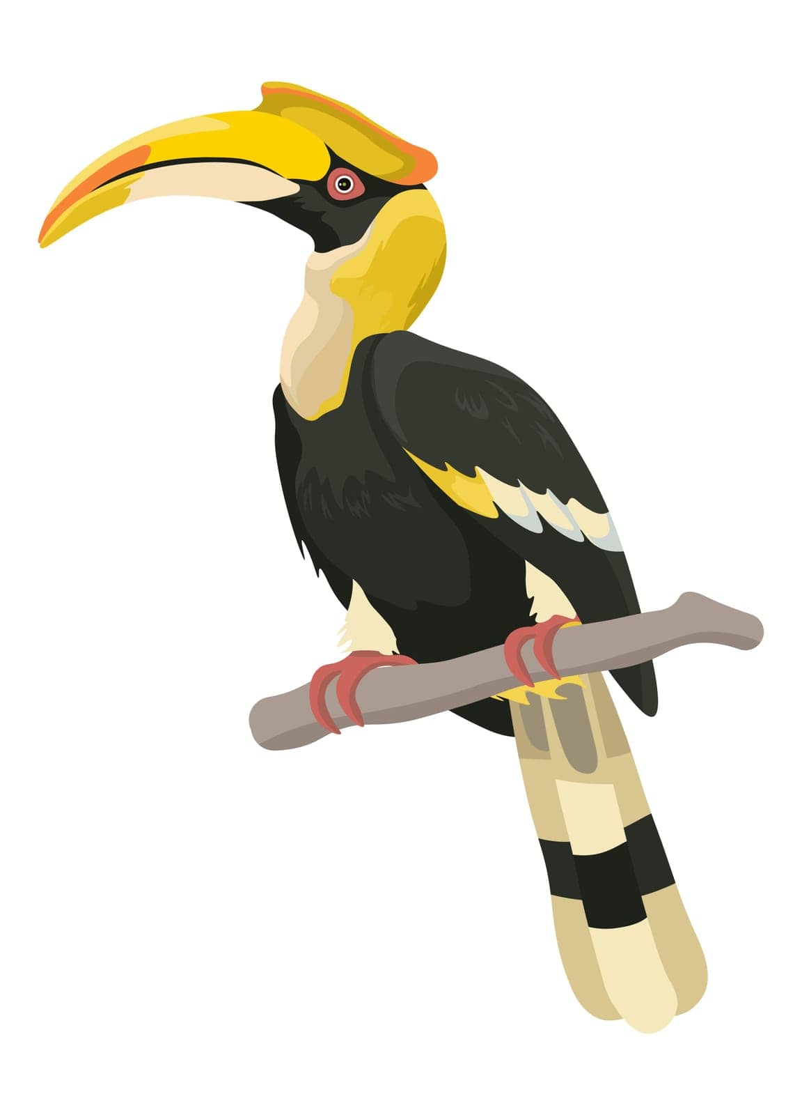 Tropical avian animal portrait, isolated exotic animal with curved beak sitting on twig or branch in forest. Fauna and wilderness of warm countries, zoo and ornithology. Vector in flat style