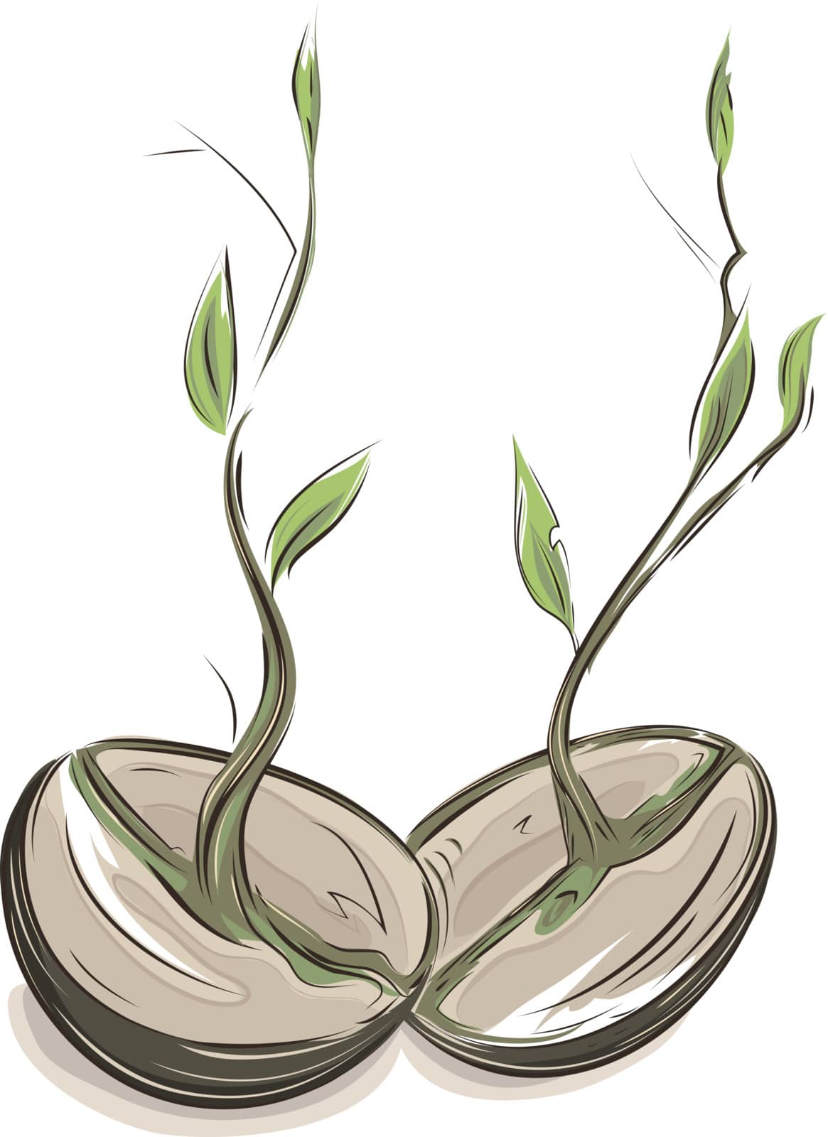 Sprouting hand drawn watercolor style beans illustration. EPS8 layered vector. No effects.