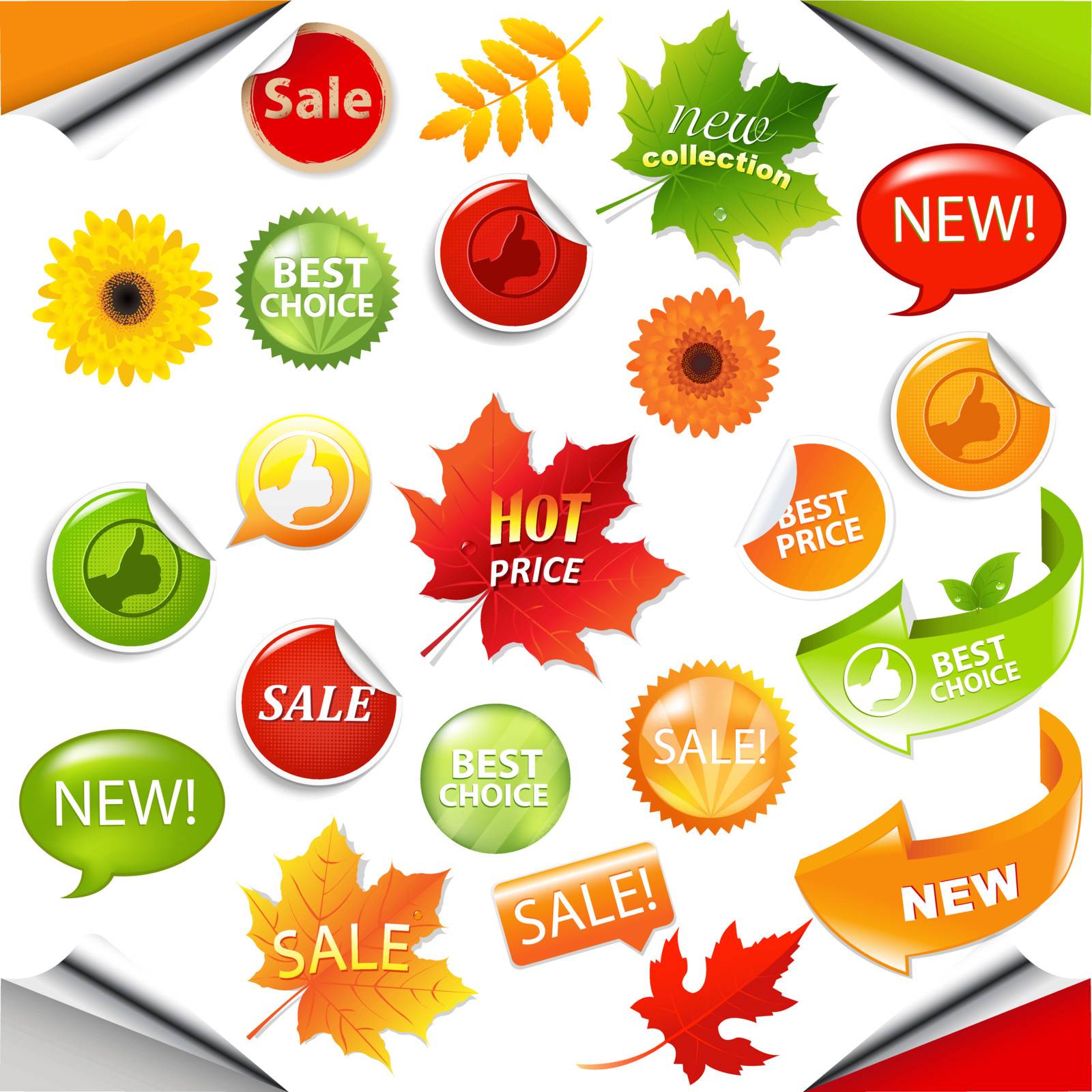 Autumn Collection Sale Elements With Leaves, Vector Illustration