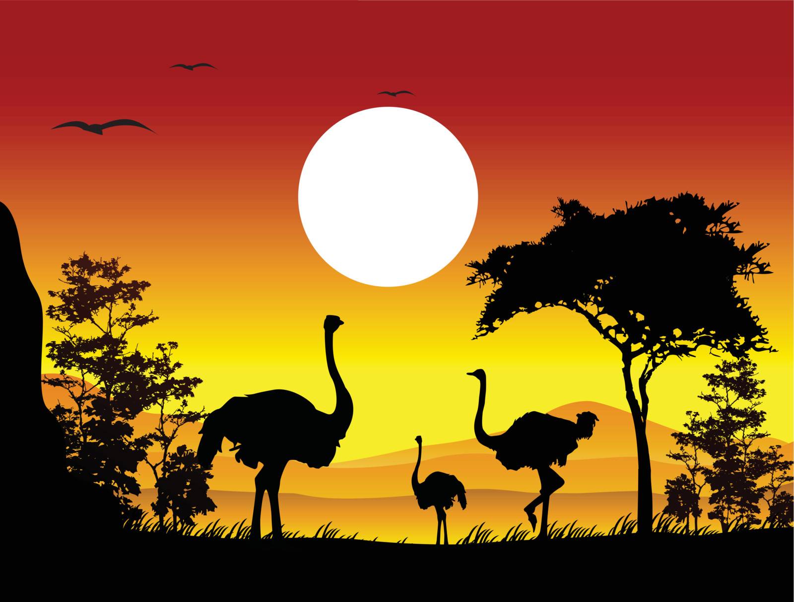 vector illustration of beauty ostrich silhouettes with landscape background