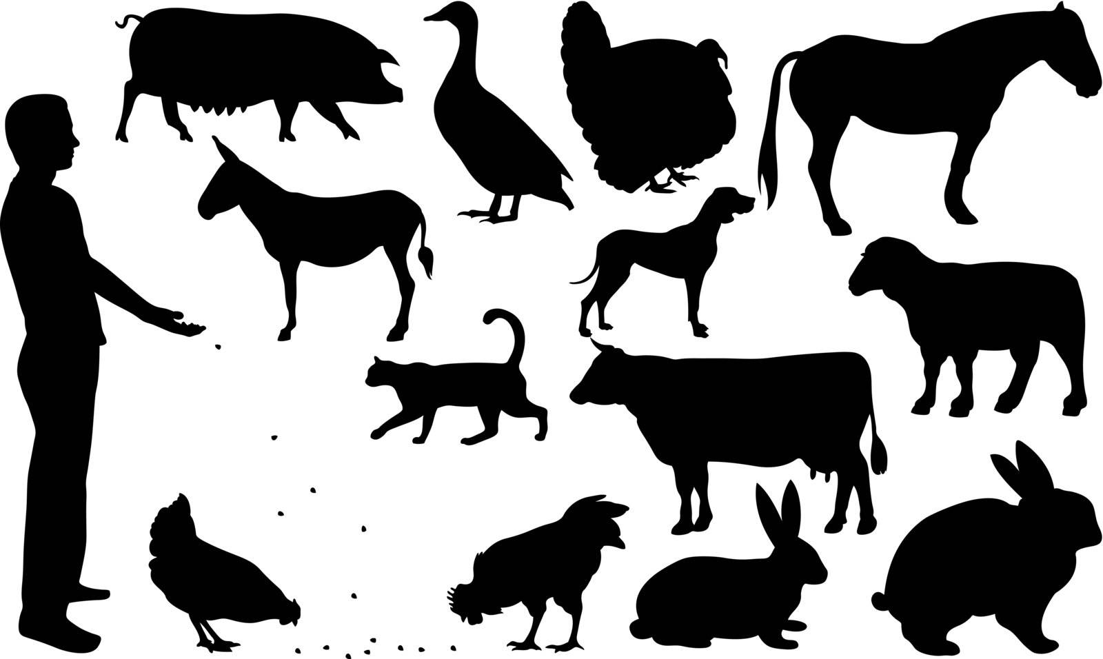 set of different farm animals isolated on white