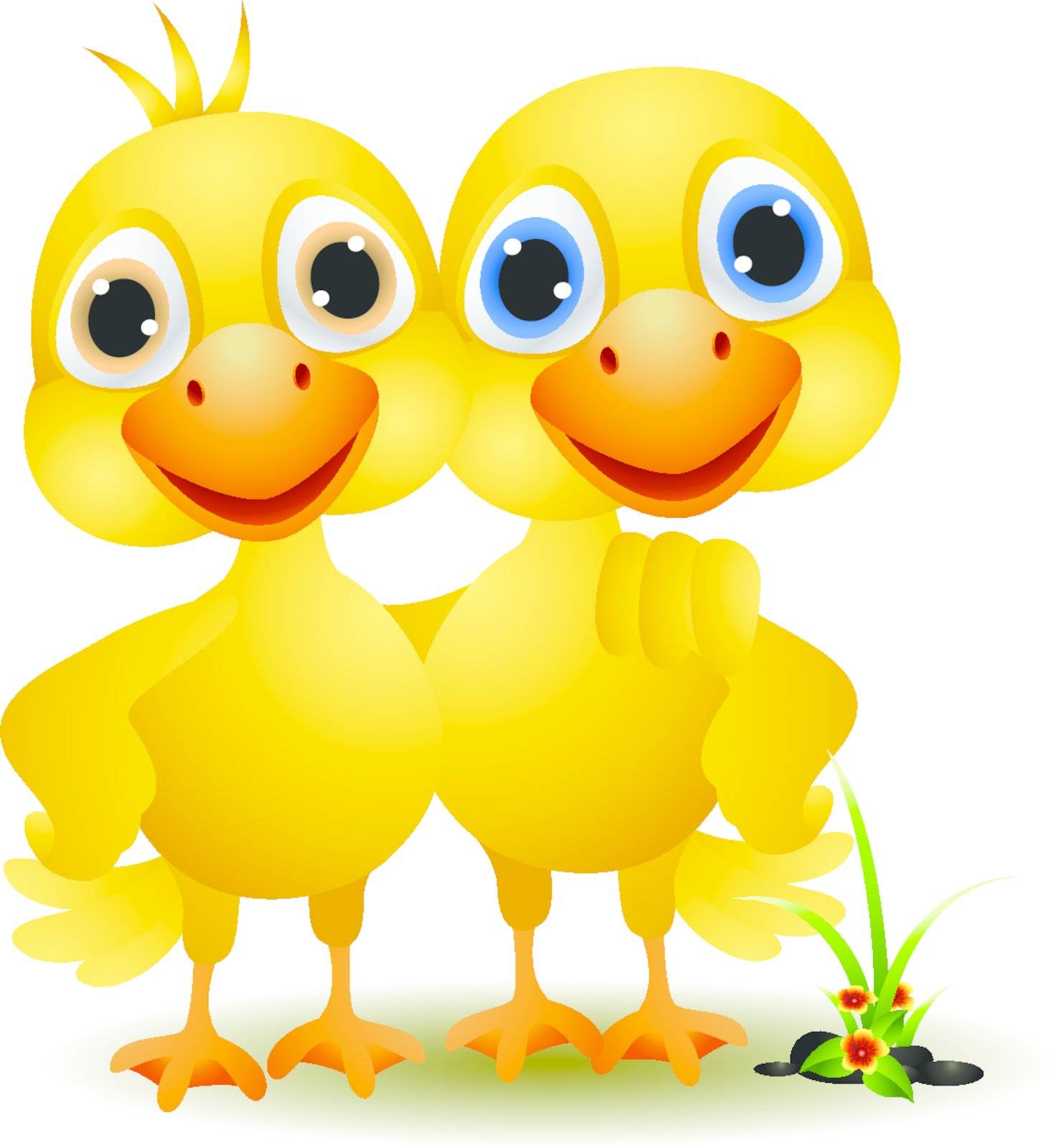 vector illustration of a pair of ducks in a friendly
