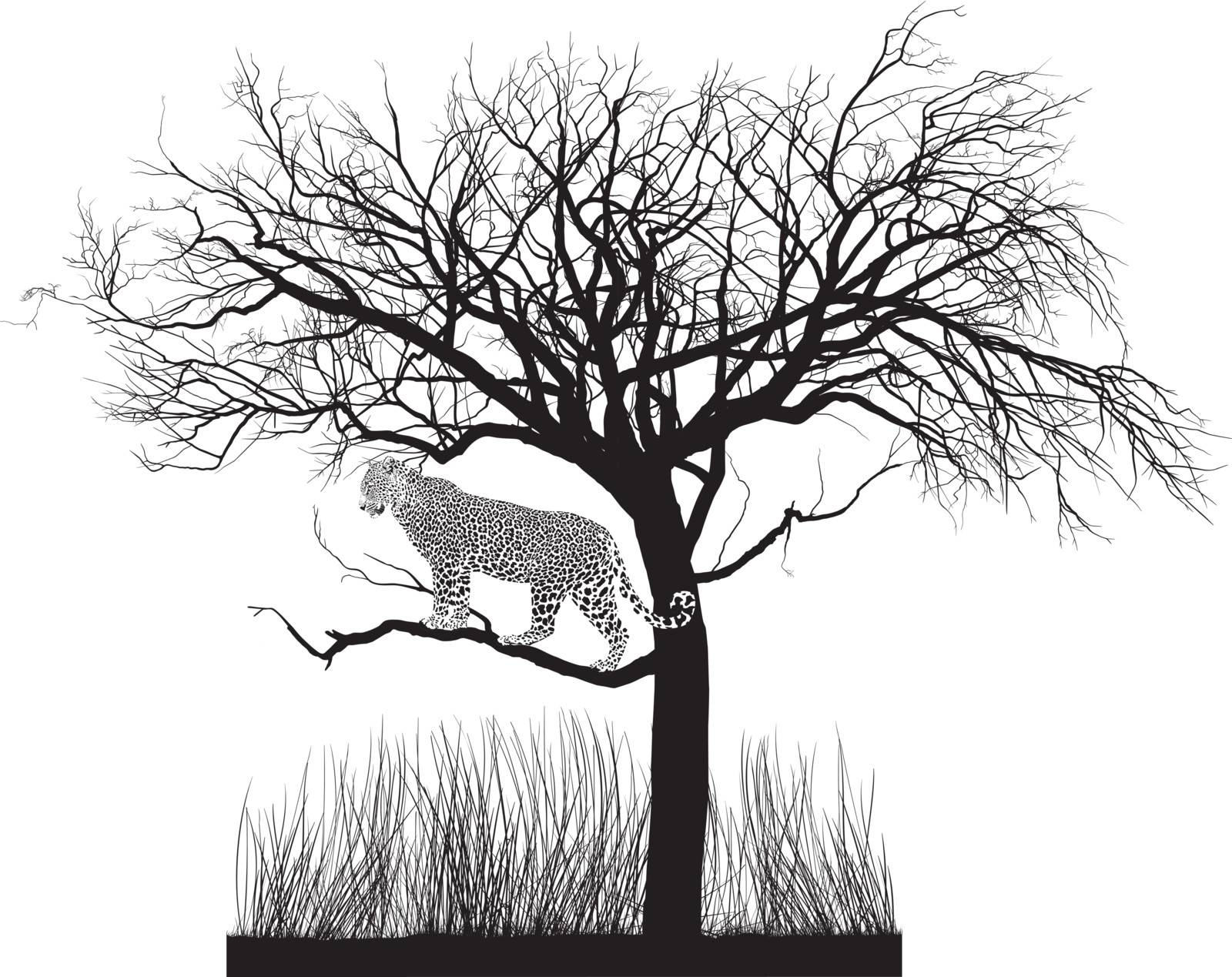 vector illustration of a leopard lurking in a tree