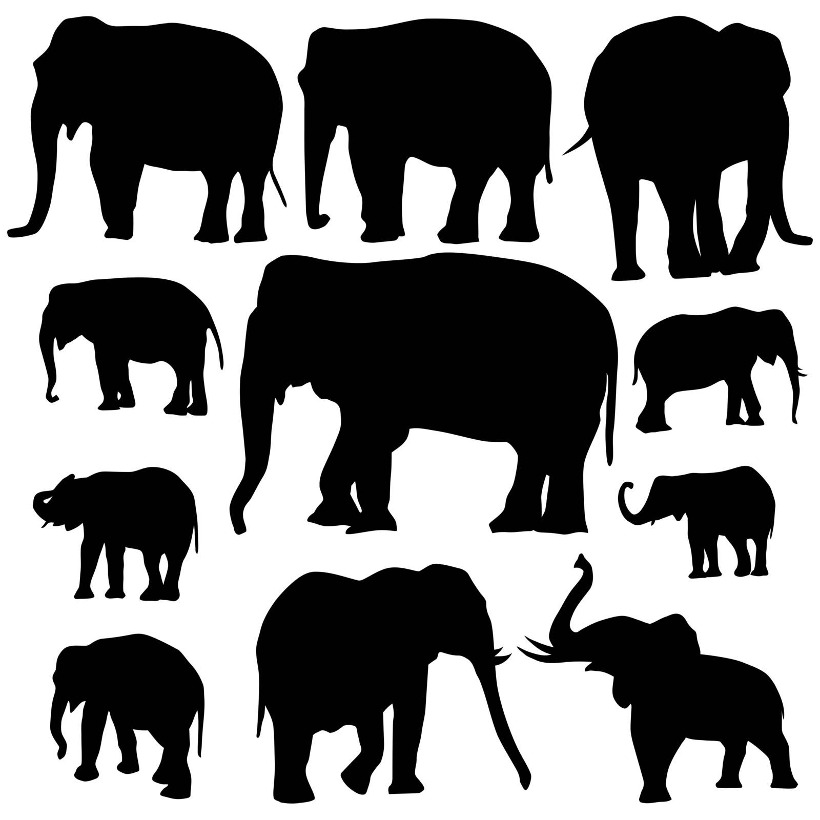 Vector illustration of Elephant silhouettes on white background