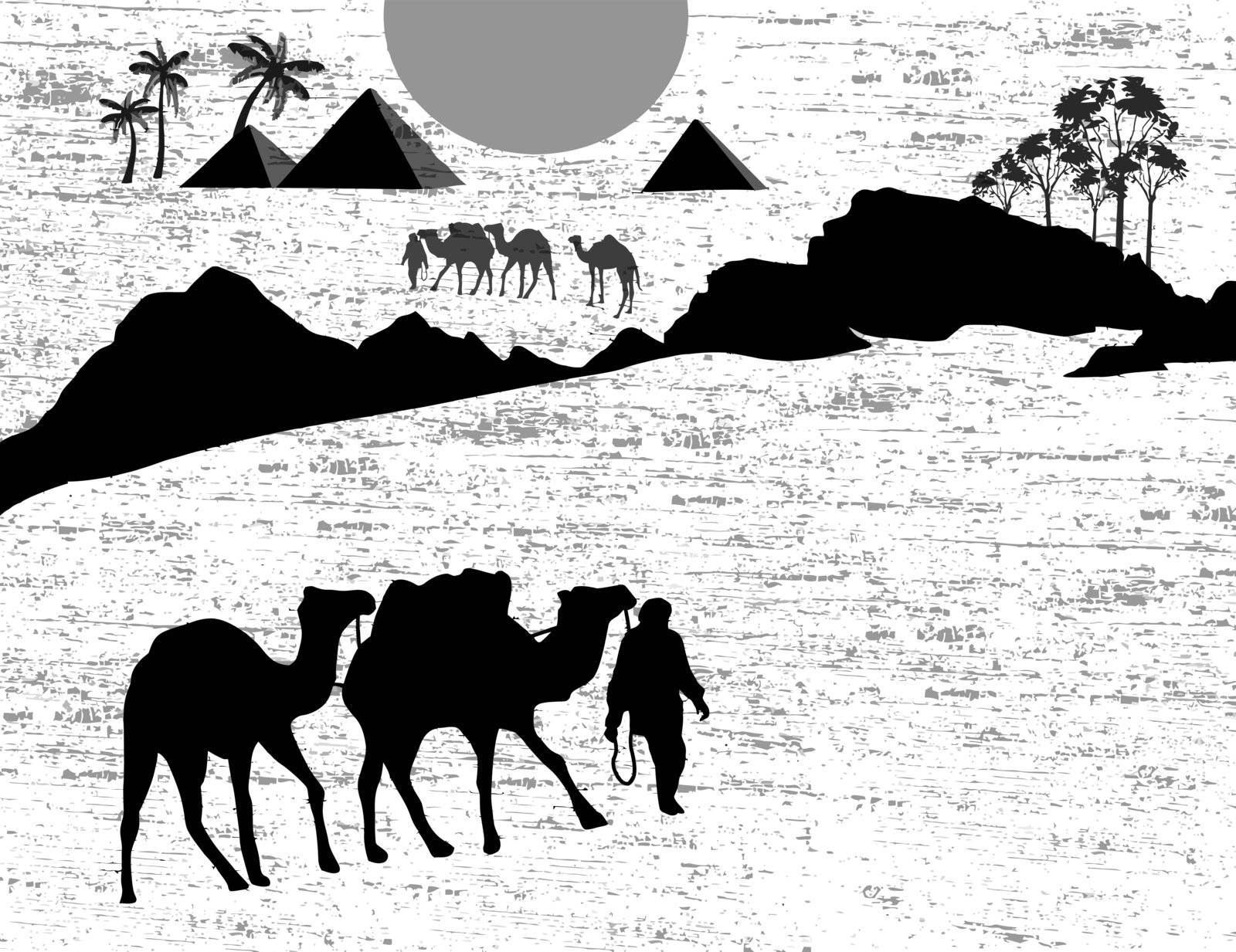 Bedouin camel caravan in wild africa landscape on black and white, vector illustration