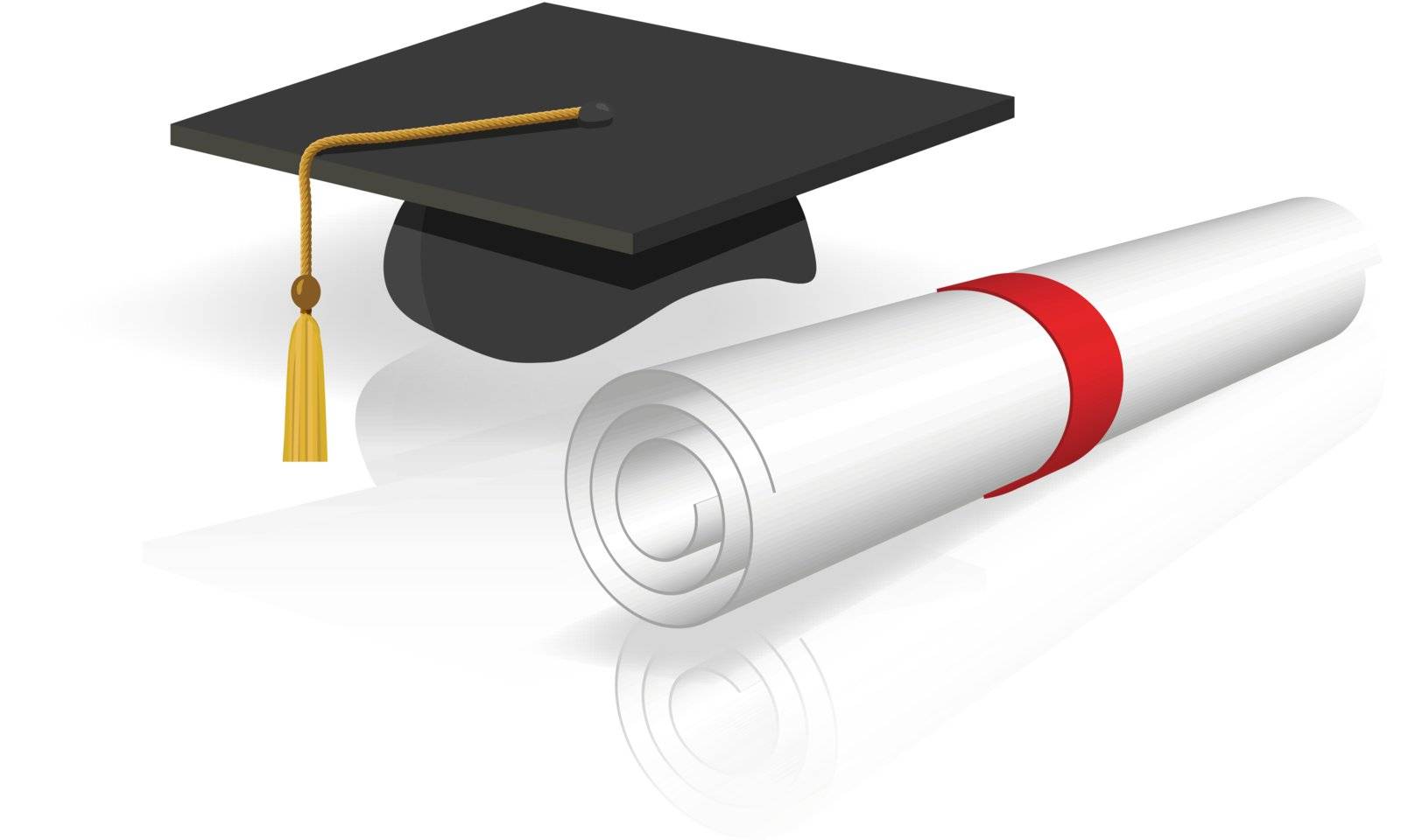 vector illustration of  a cap and diploma isolated on white 