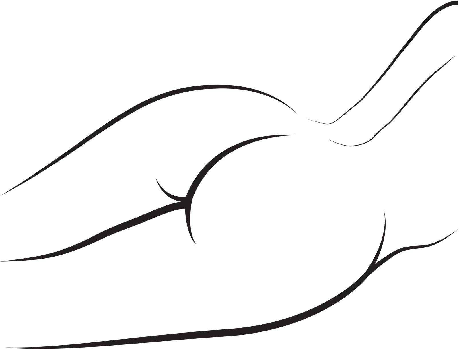 Female nude buttocks vector outline by only4denn