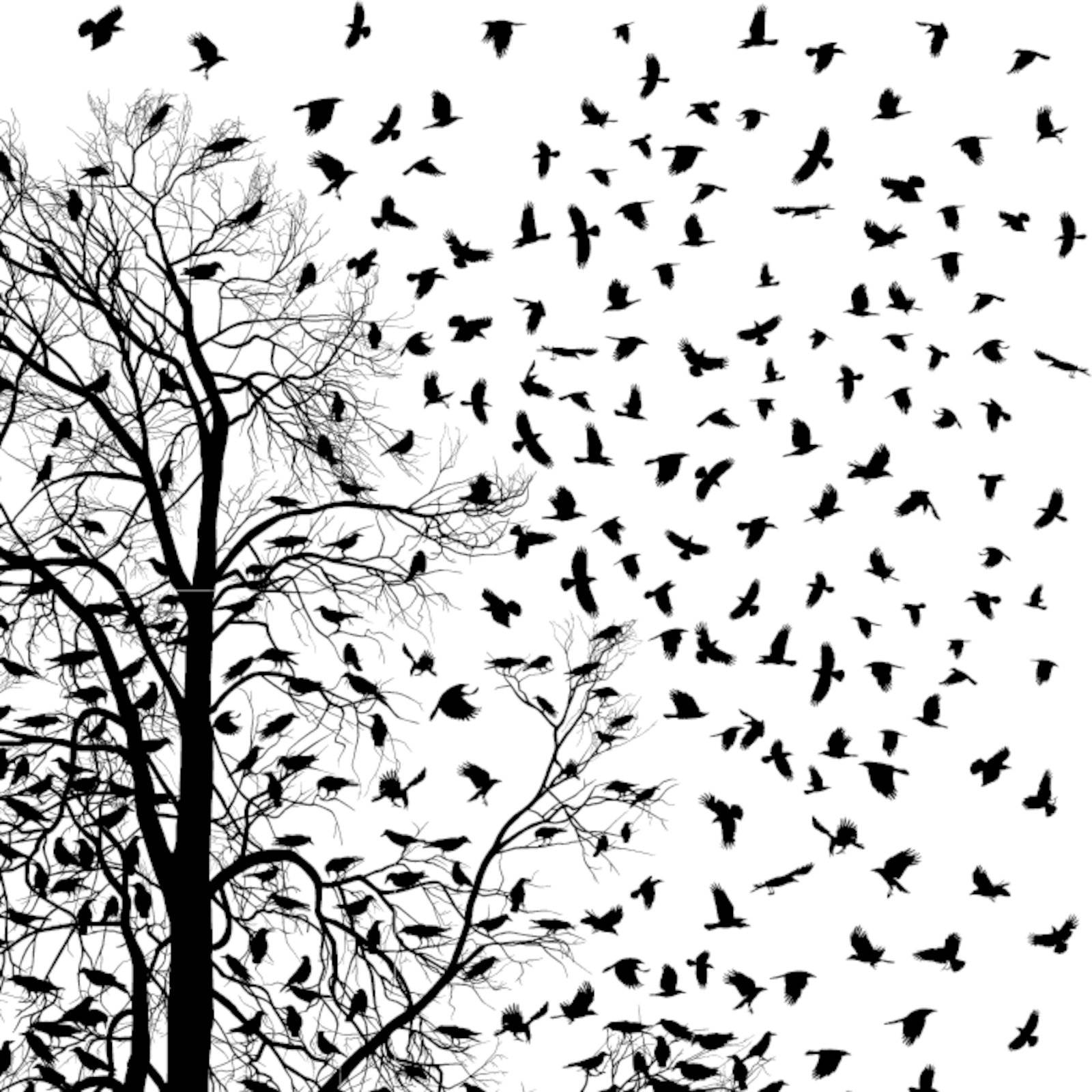 vector illustration flock of crows over trees