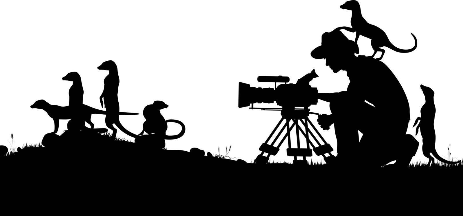 Editable vector silhouettes of a cameraman filming meerkats with all elements as separate objects