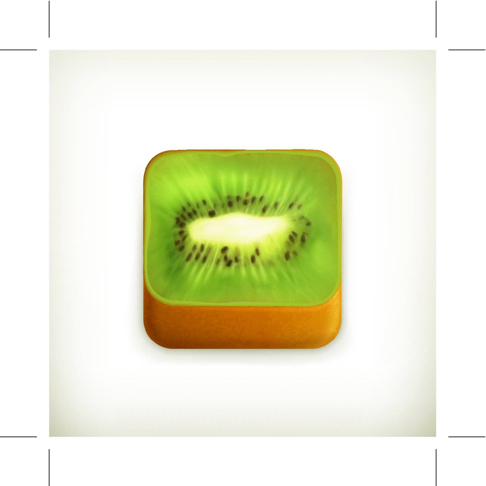 Kiwi app icon, vector