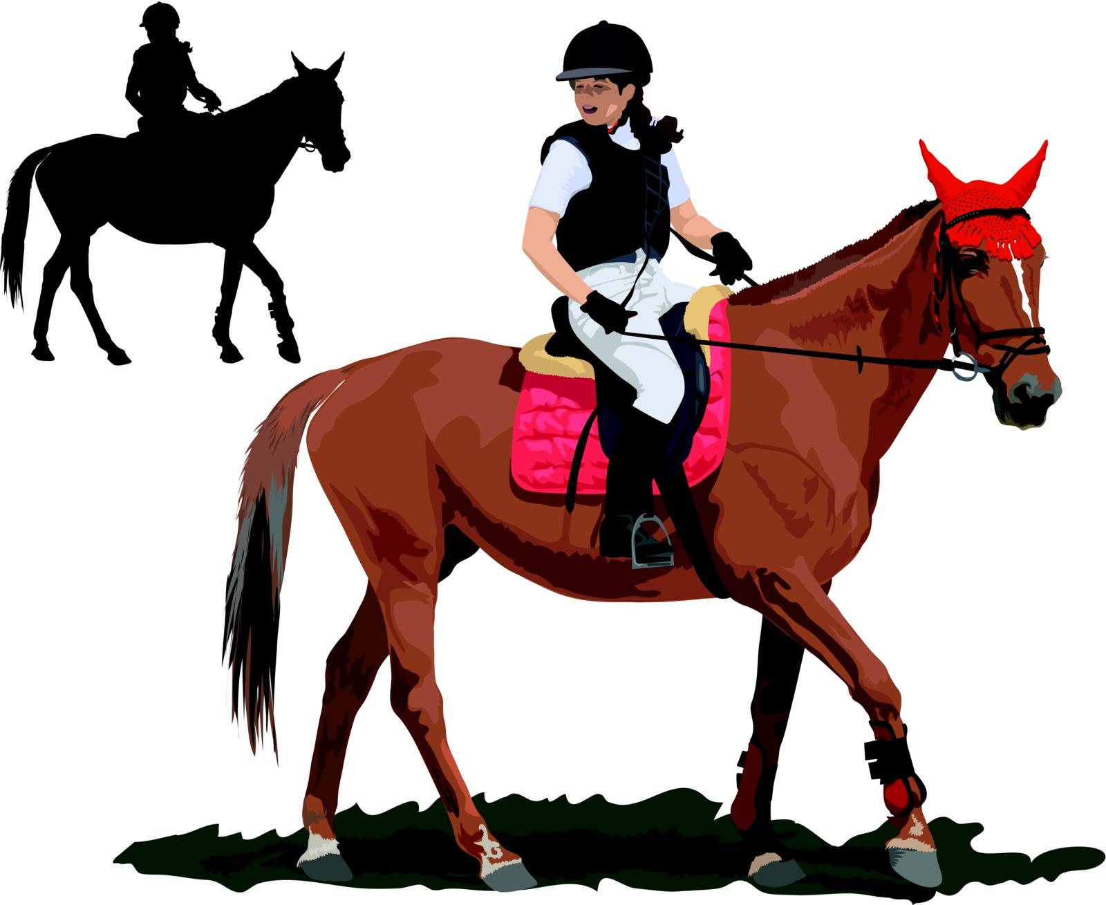 Jockey lady on horse. Detailed vector illustration.