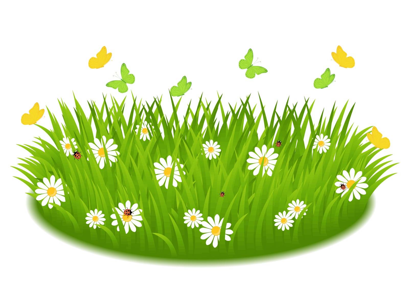 green grass with daisies, butterfly and ladybugs