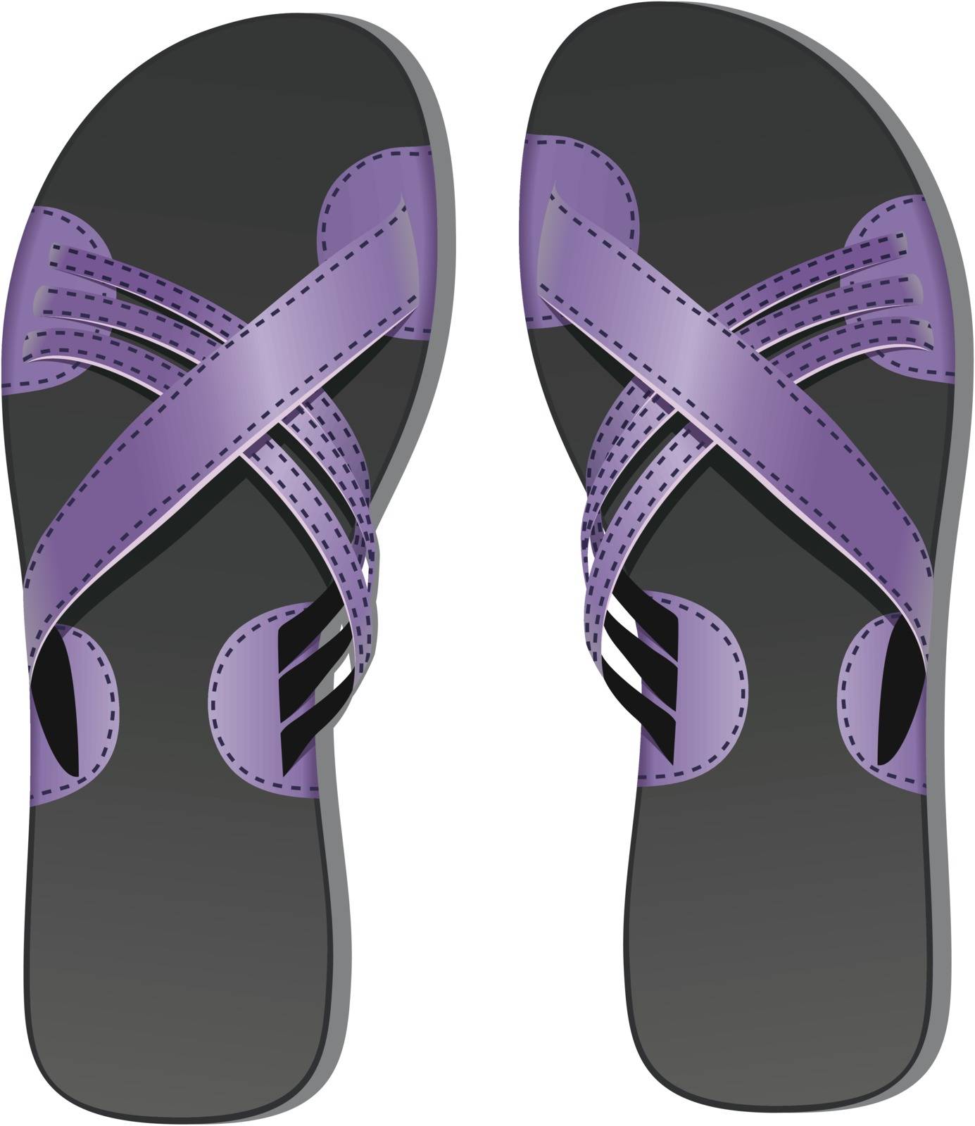 vector pair of leather flip flops