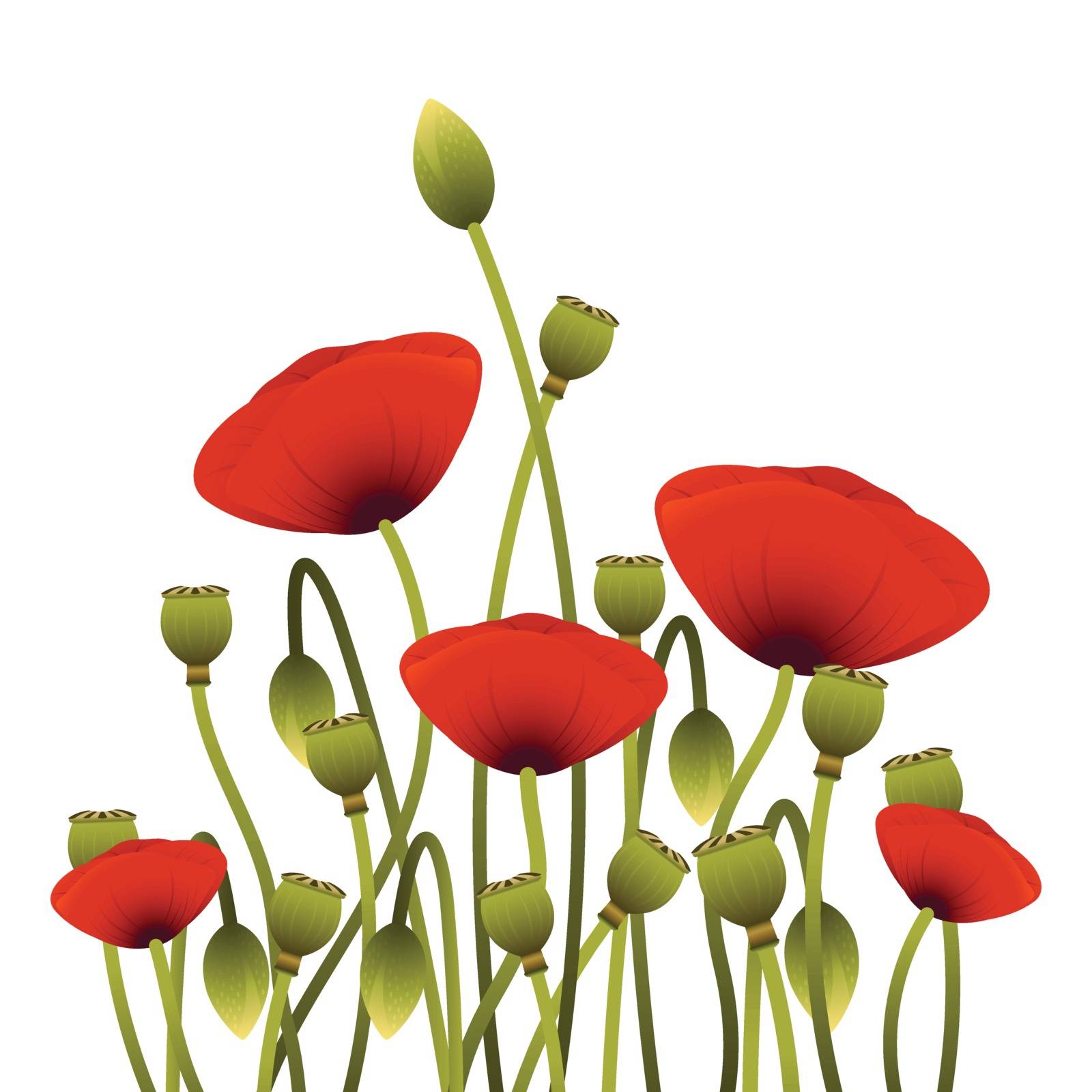 Background with red poppy flowers for your design