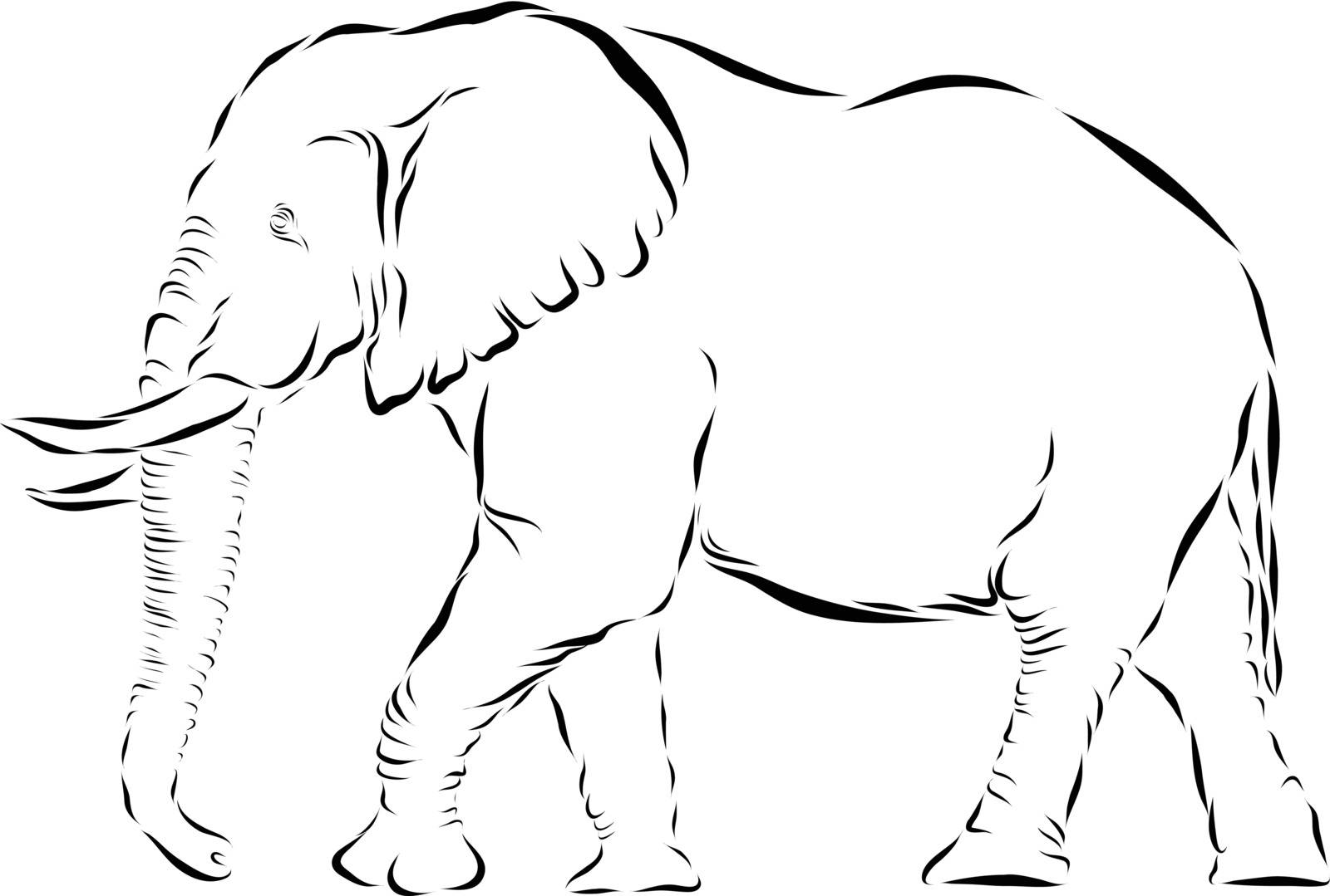 Vector line art illustration of an African elephant