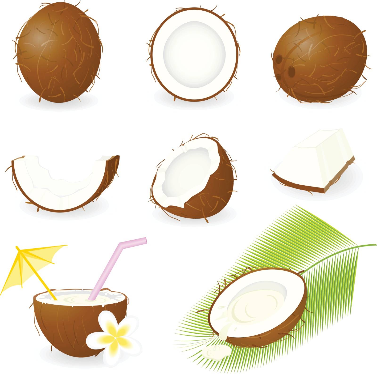 Icon Set Coconut