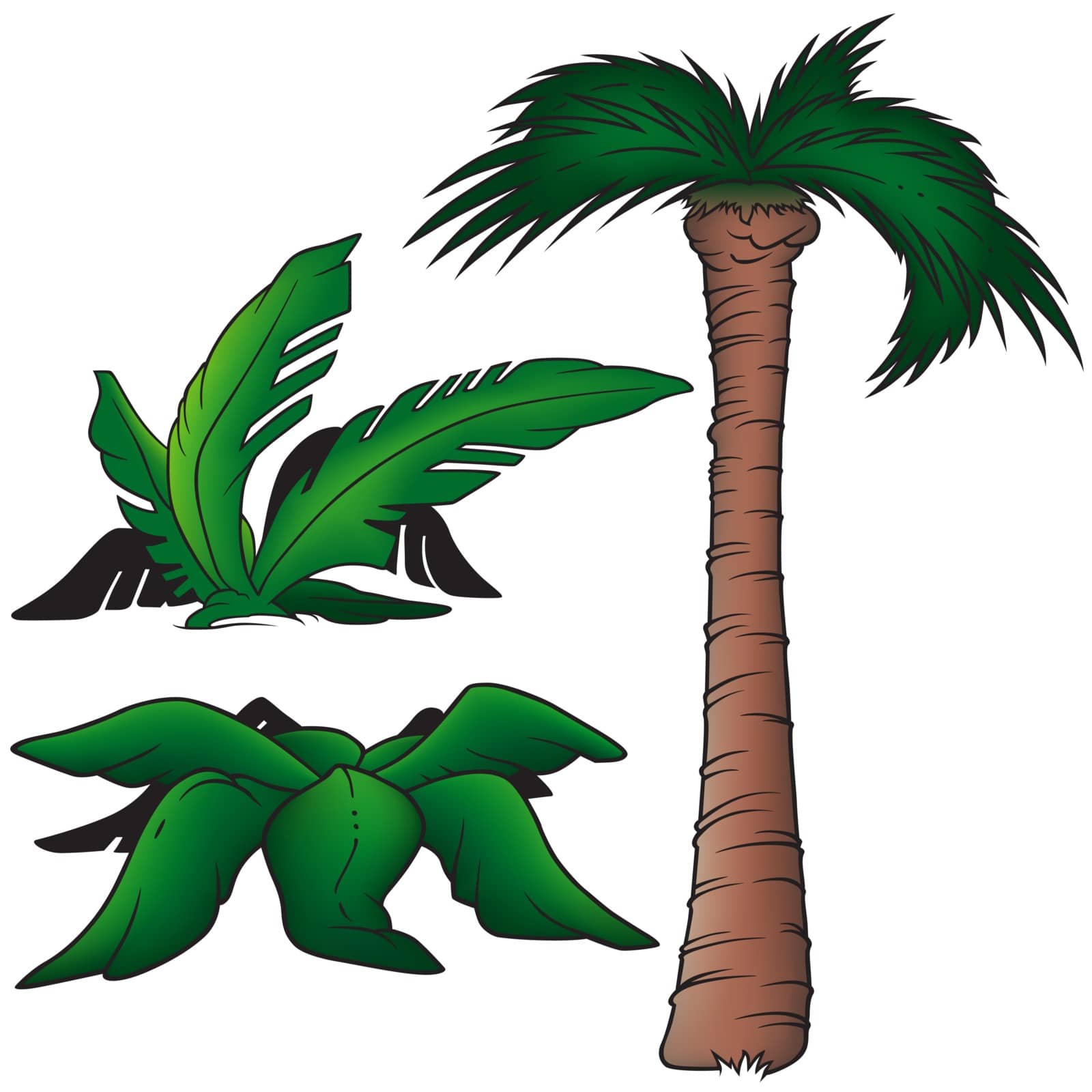 Palms by illustratorCZ