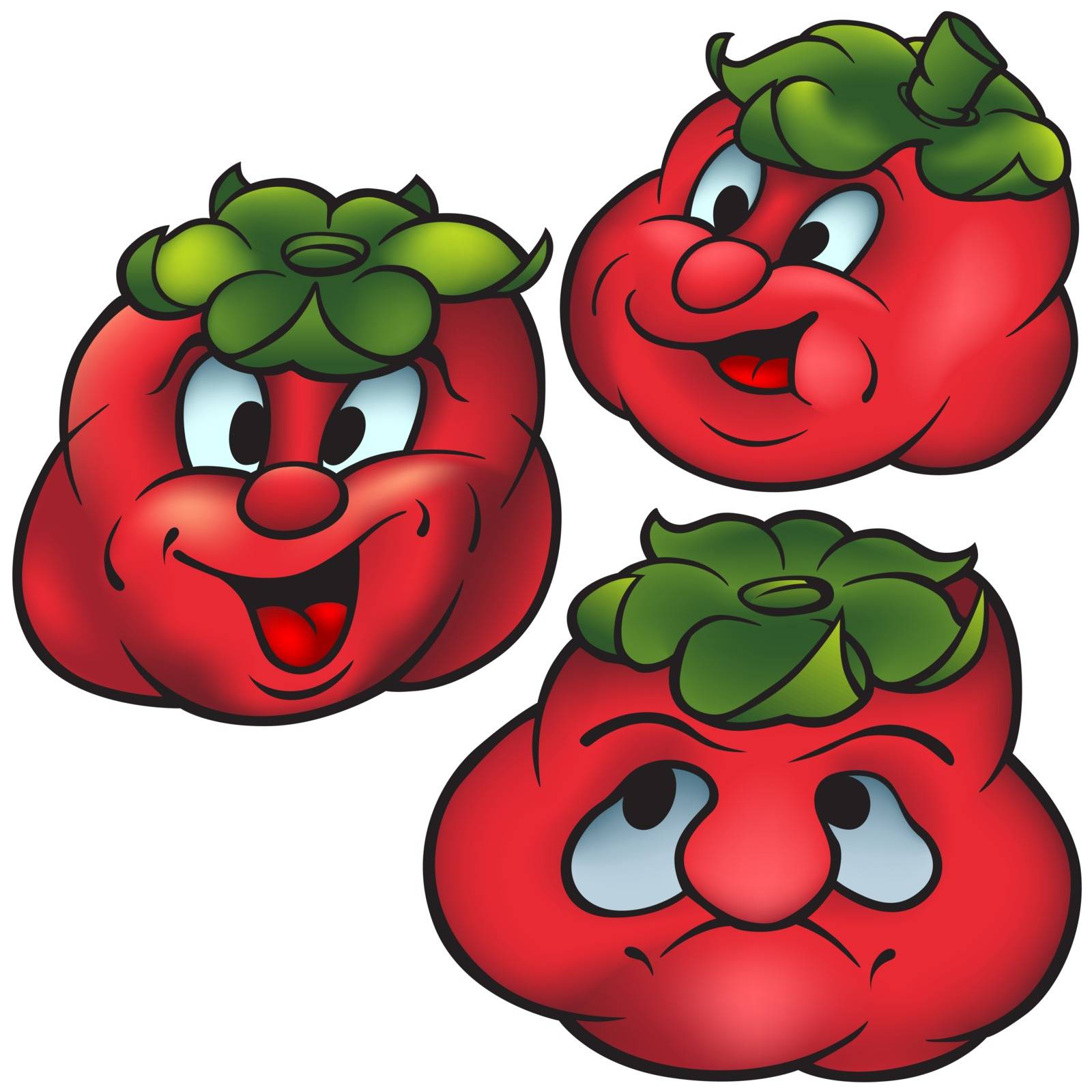 Three Tomatoes - Colored Cartoon Illustration, Vector