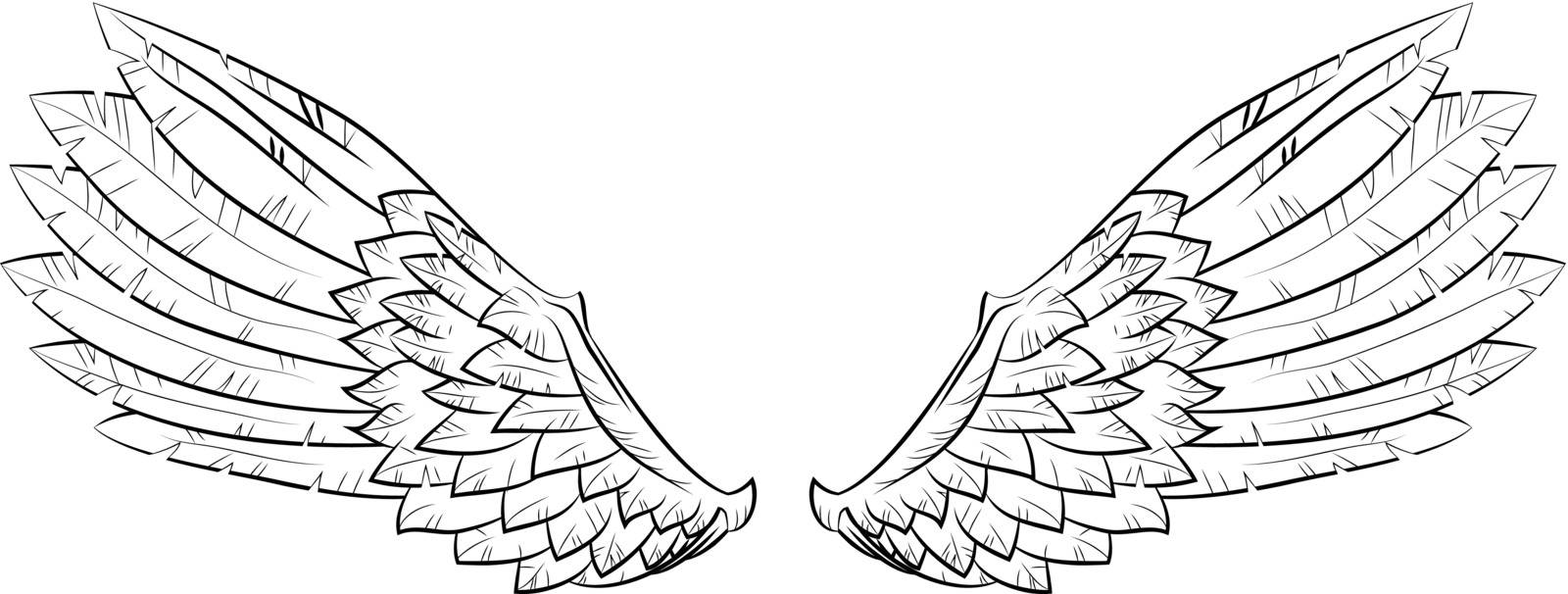 Vector illustration wings, EPS 10