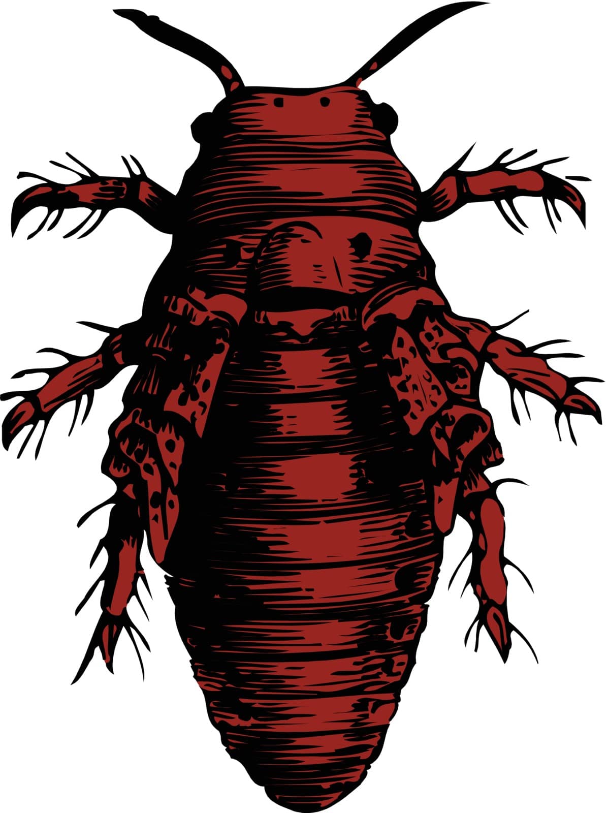 bug  on white background, vector illustration
