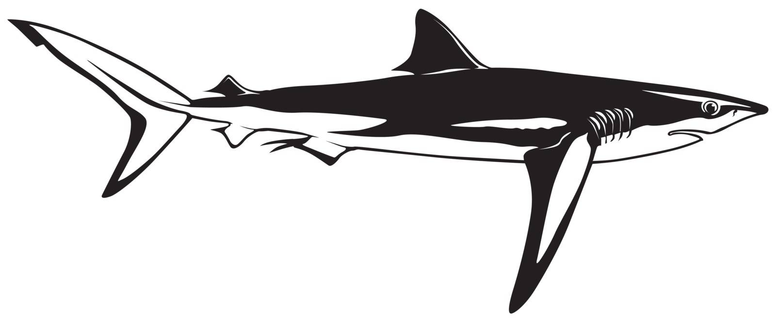 Blue Shark - Black Outline Illustration, Vector