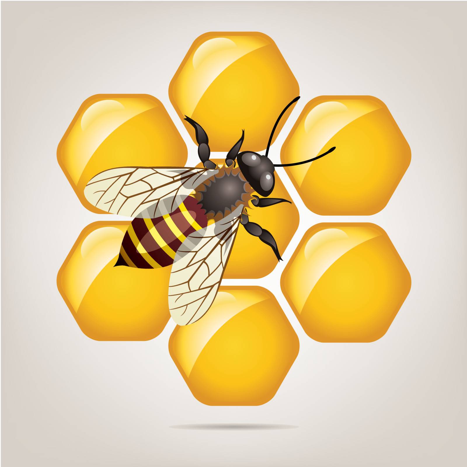 vector symbol of working bee on honeycells 