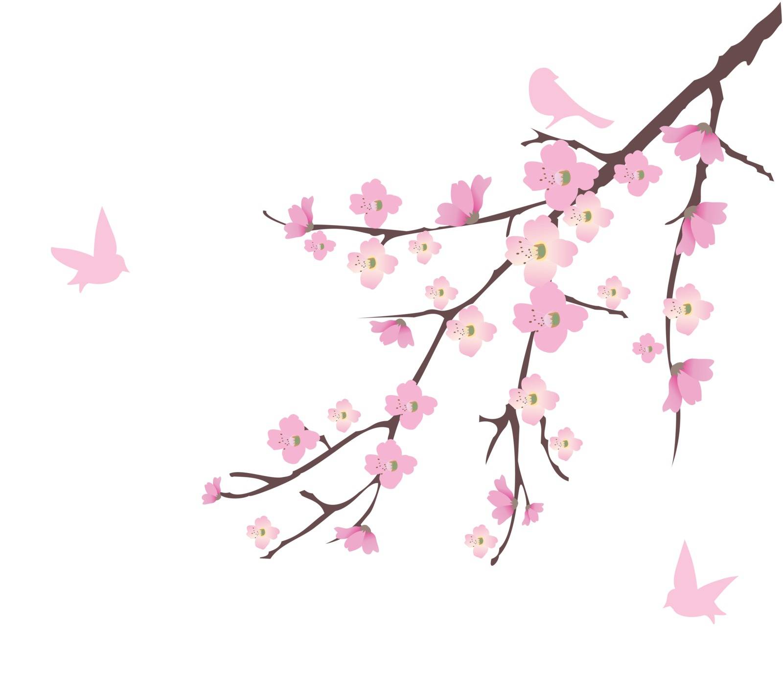vector cherry blossom