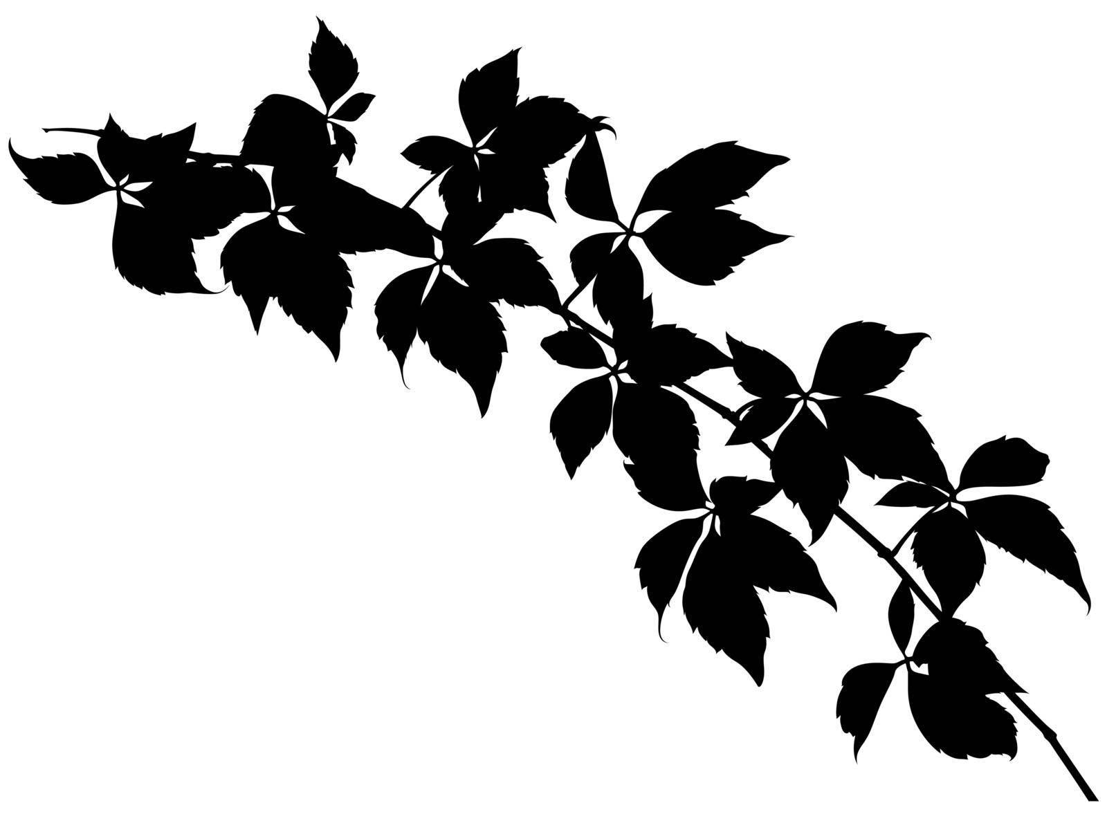 Branch With Leafs - Black Silhouette, Vector