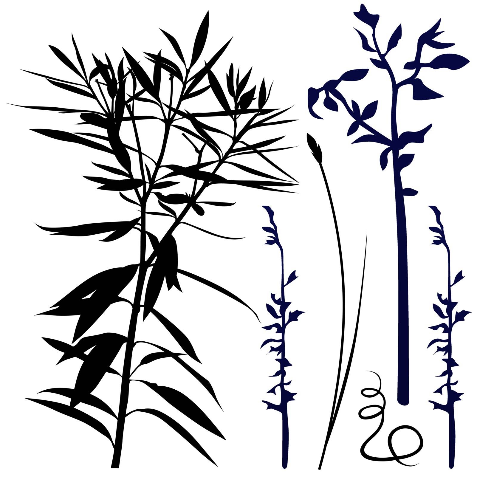 Long Plants - Black Silhouettes, Vector