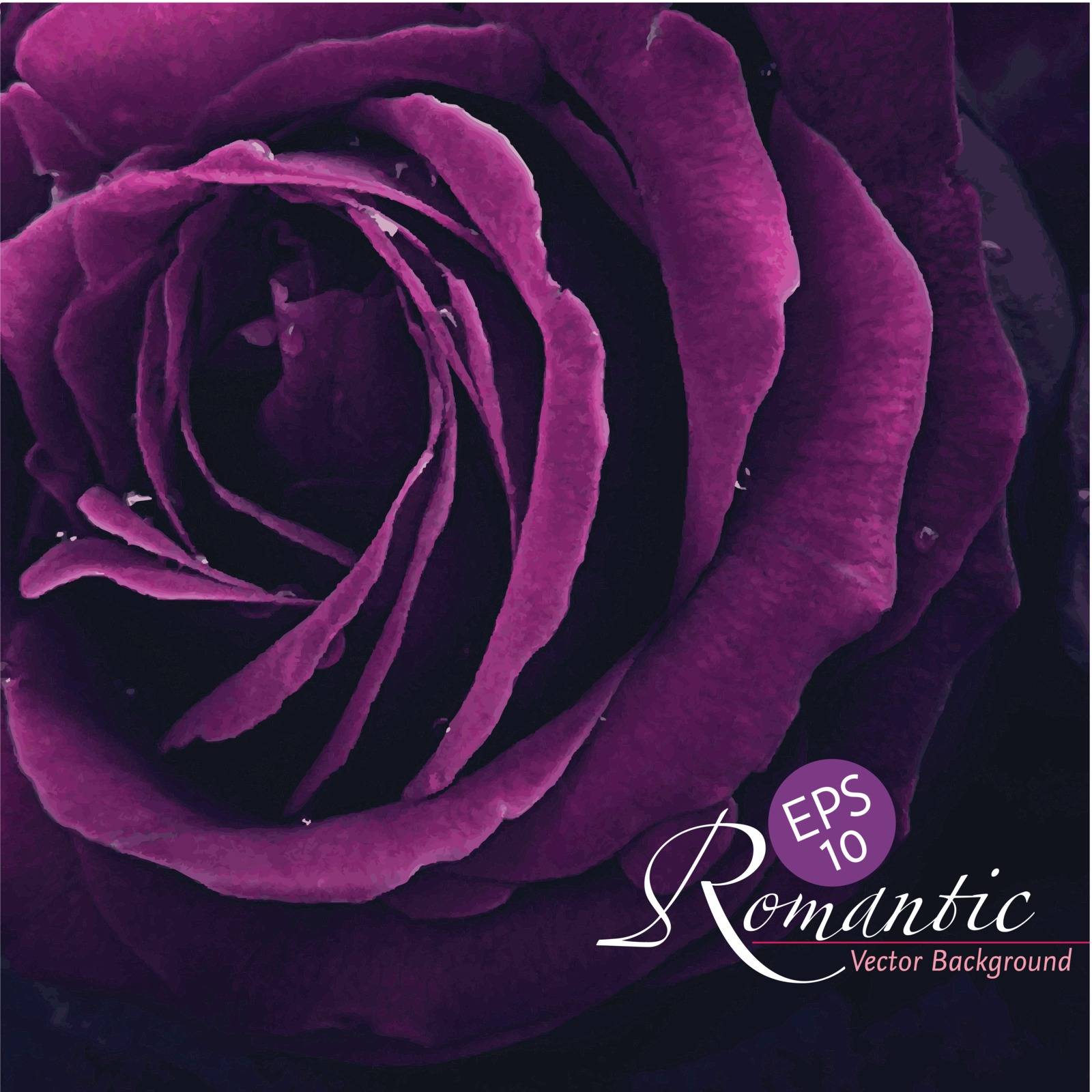Romantic purple rose with water drops, photo-real vector