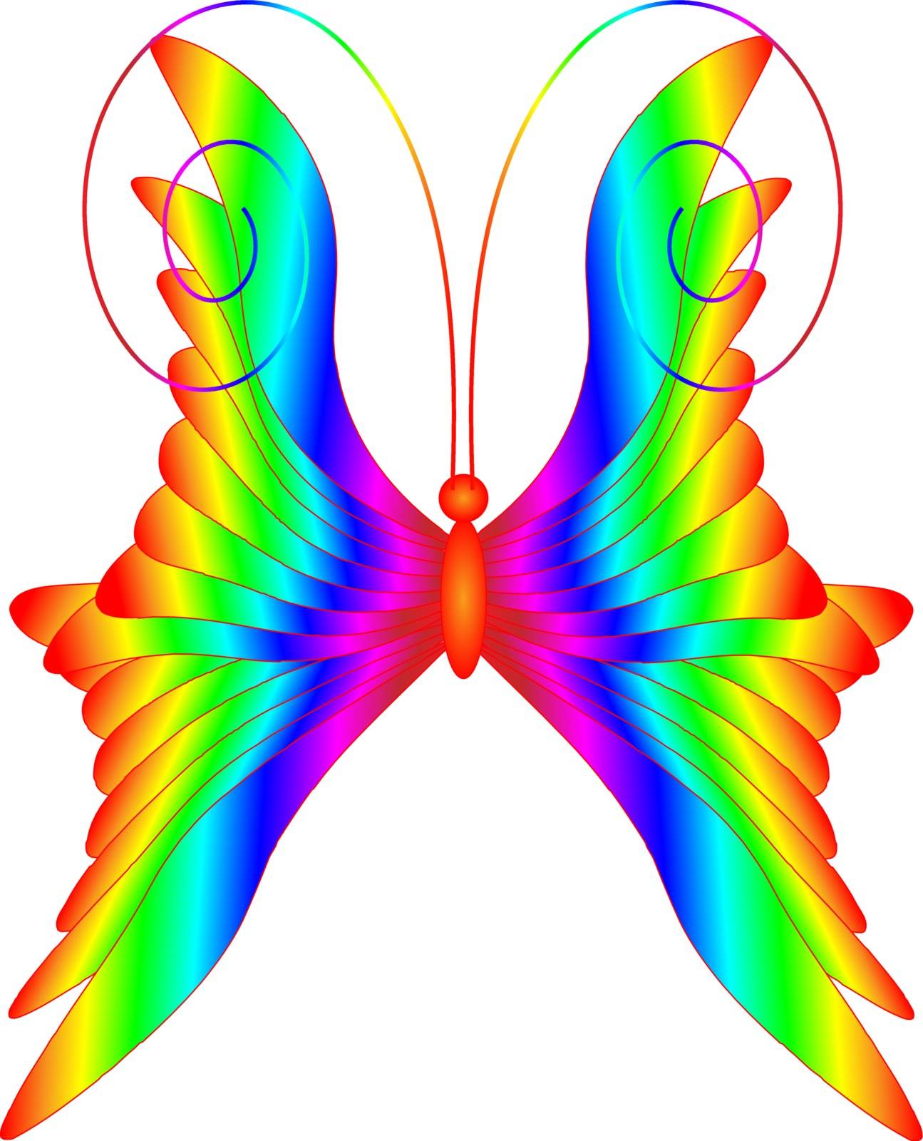 multicolored butterfly by provinc