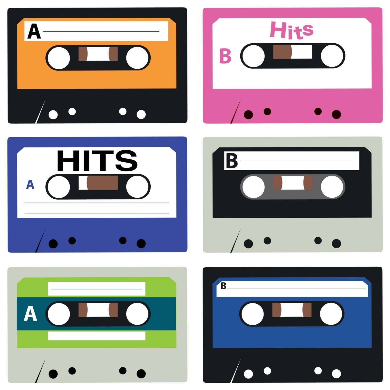 vector set of cassettes