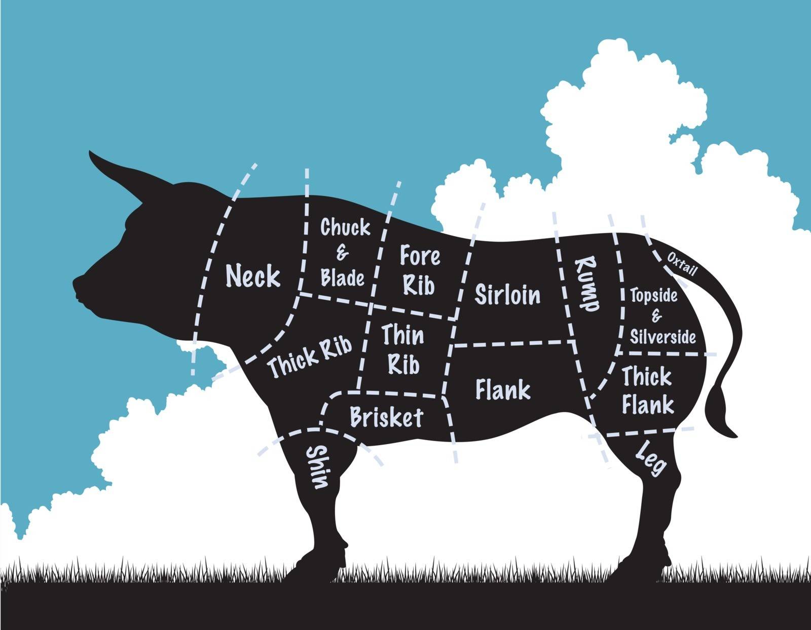 Editable vector illustration of a cow silhouette showing the cuts of meat