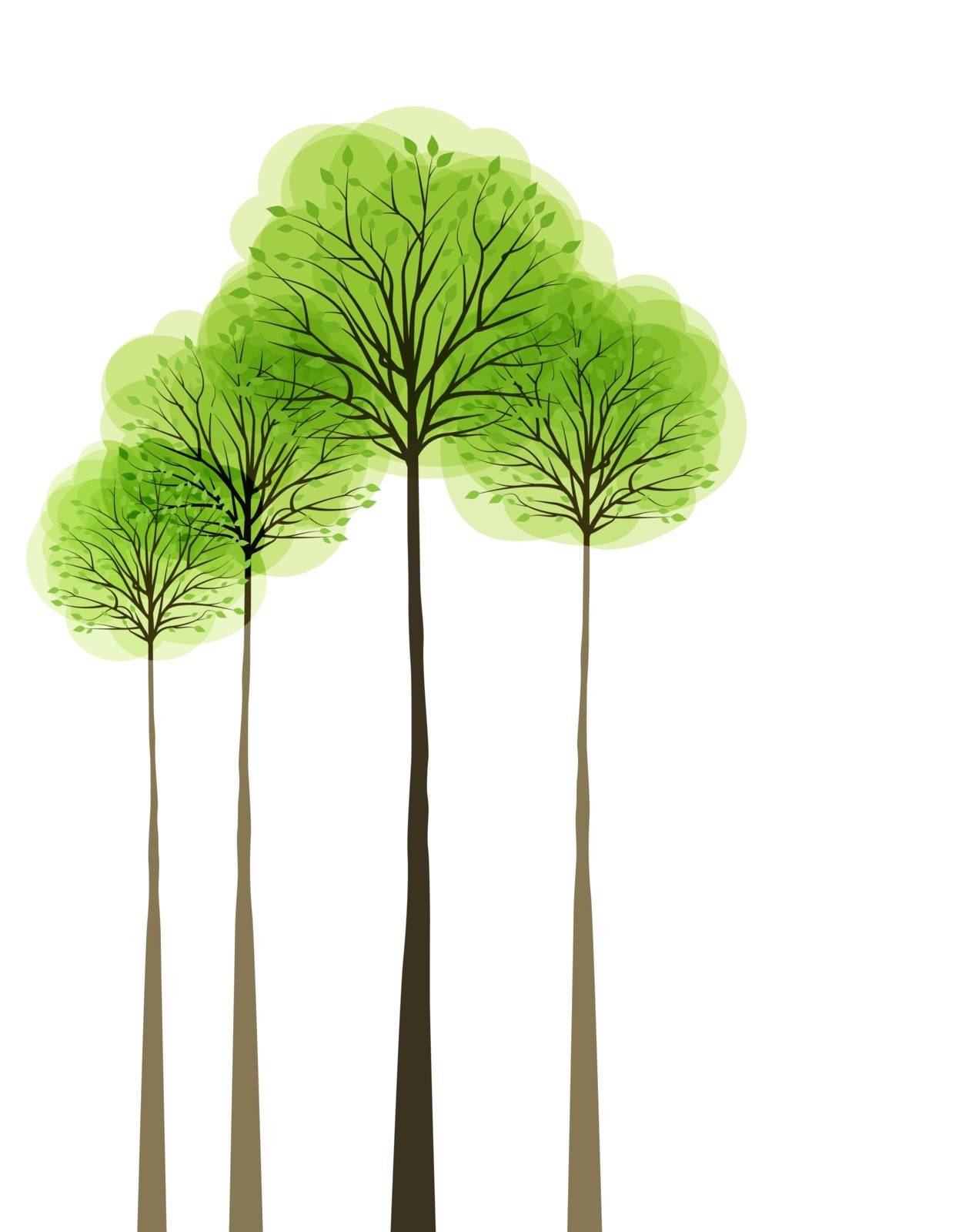 Trees with leaves on white background