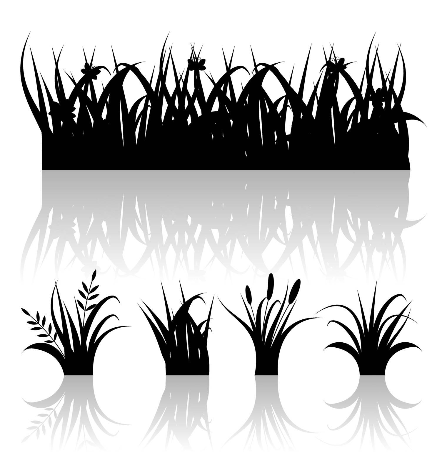 Set silhouette of grass with reflection isolated on white backgr by smeagorl