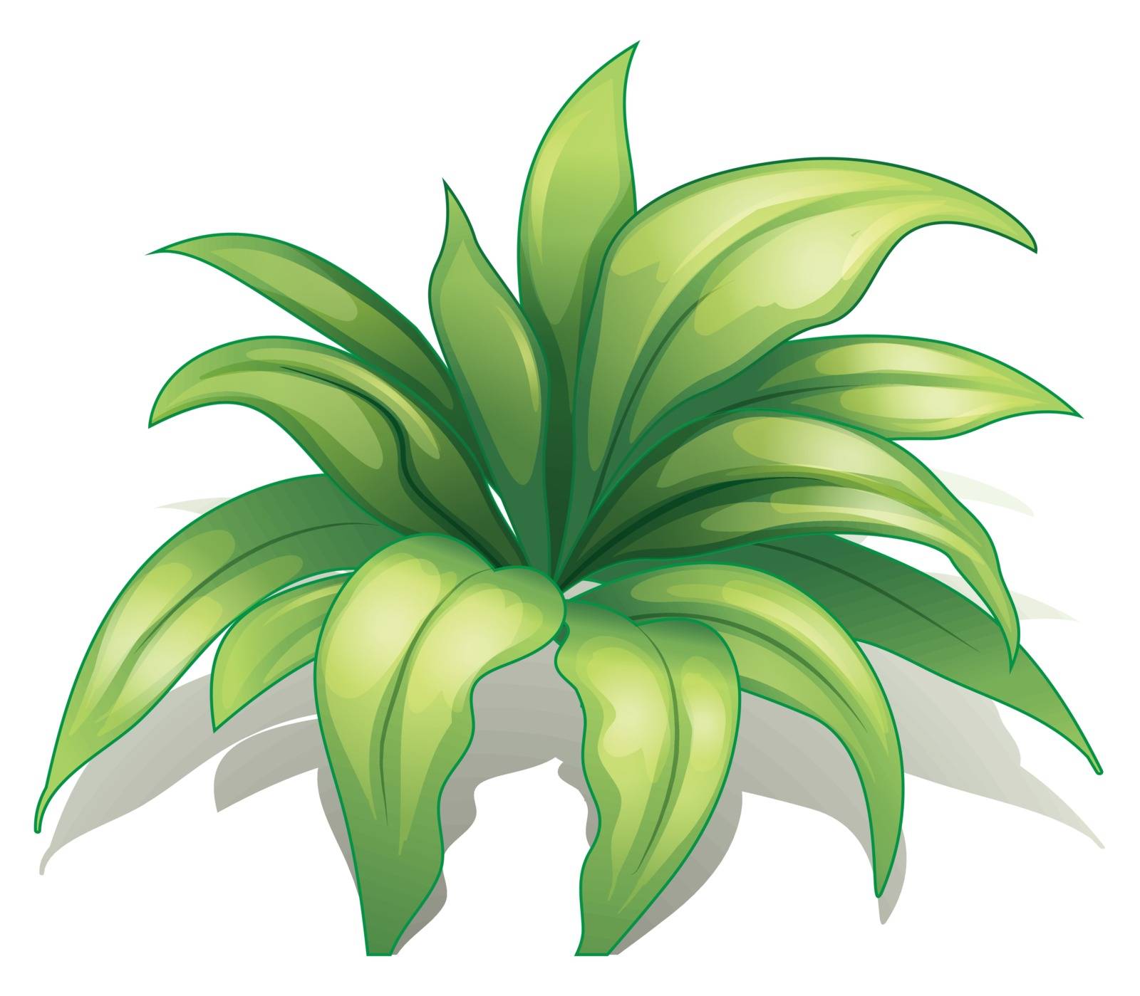 Illustration of a plant on a white background
