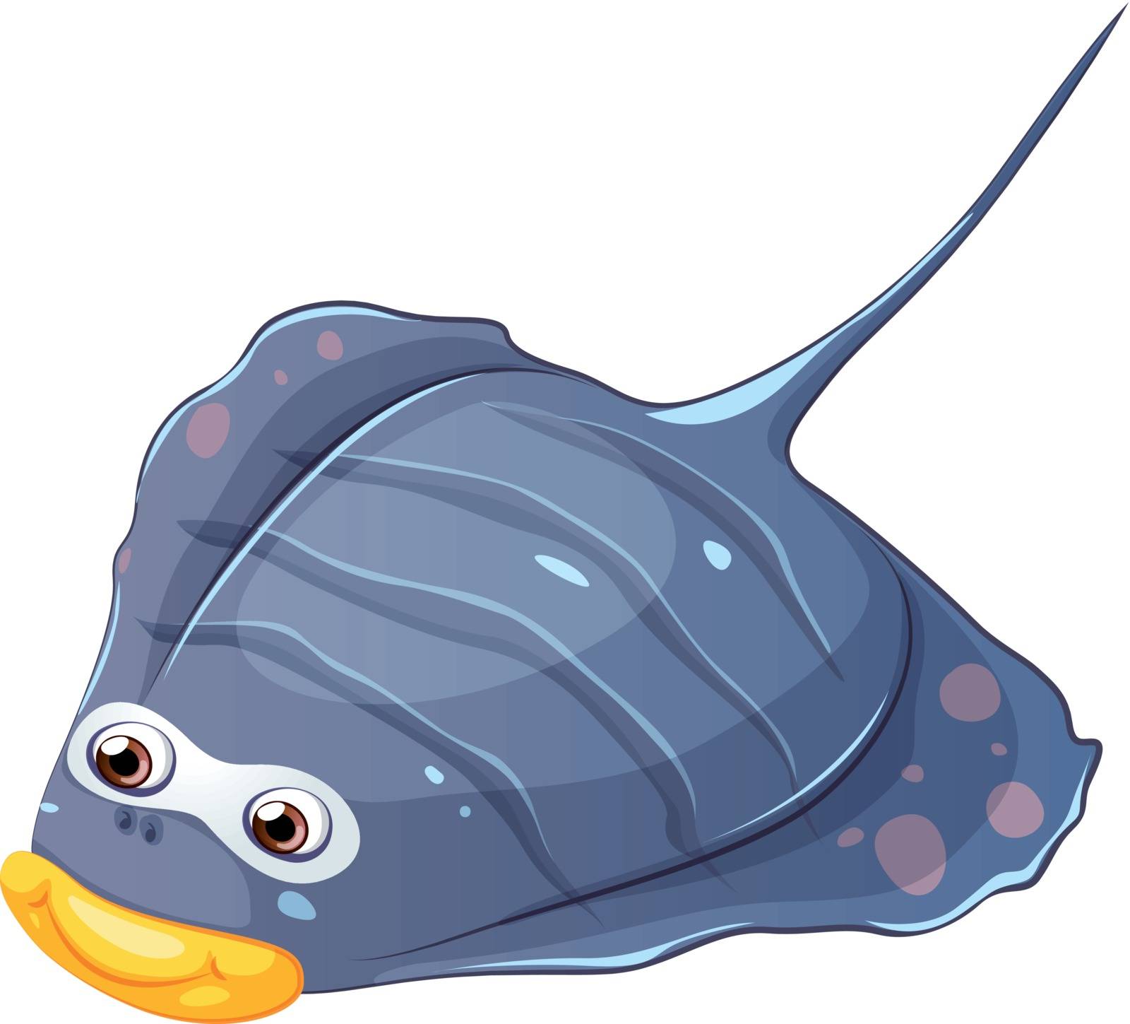 Illustration of a flat fish on a white background