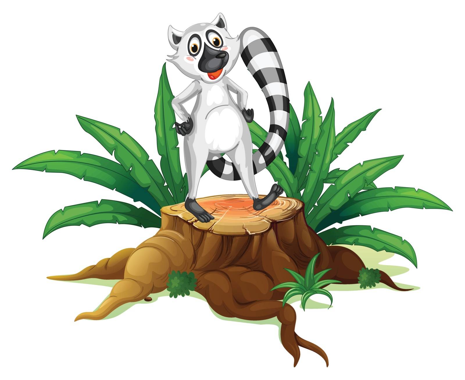 Illustration of a trunk with a lemur on a white background