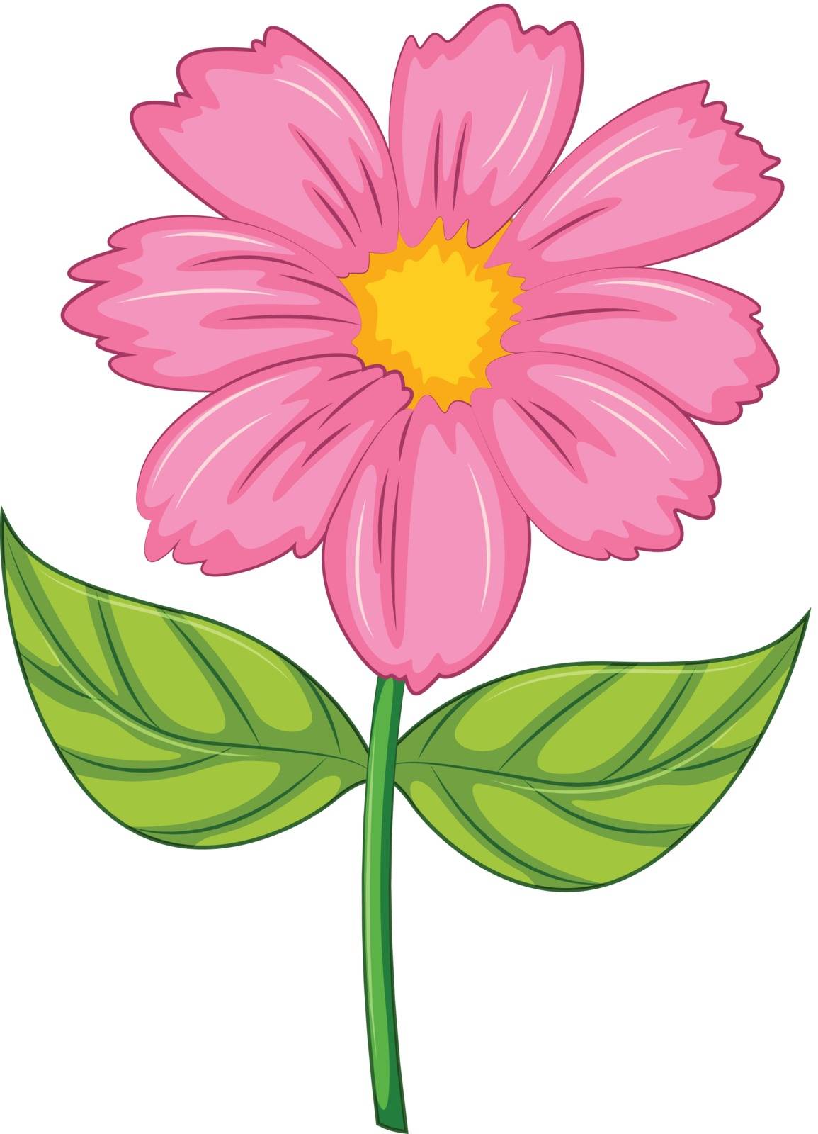 Illustration of a pink flower on a white background