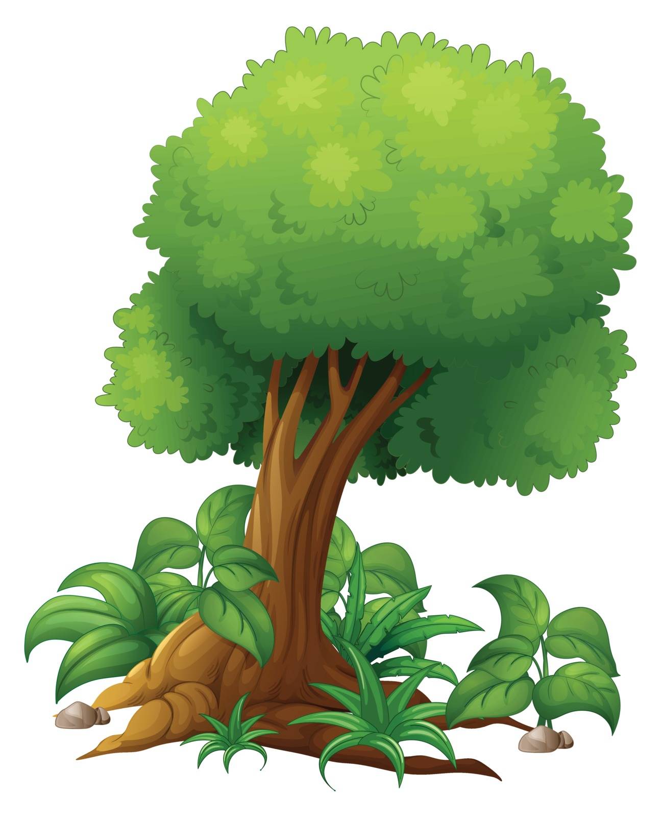 Illustration of a big tree on a white background