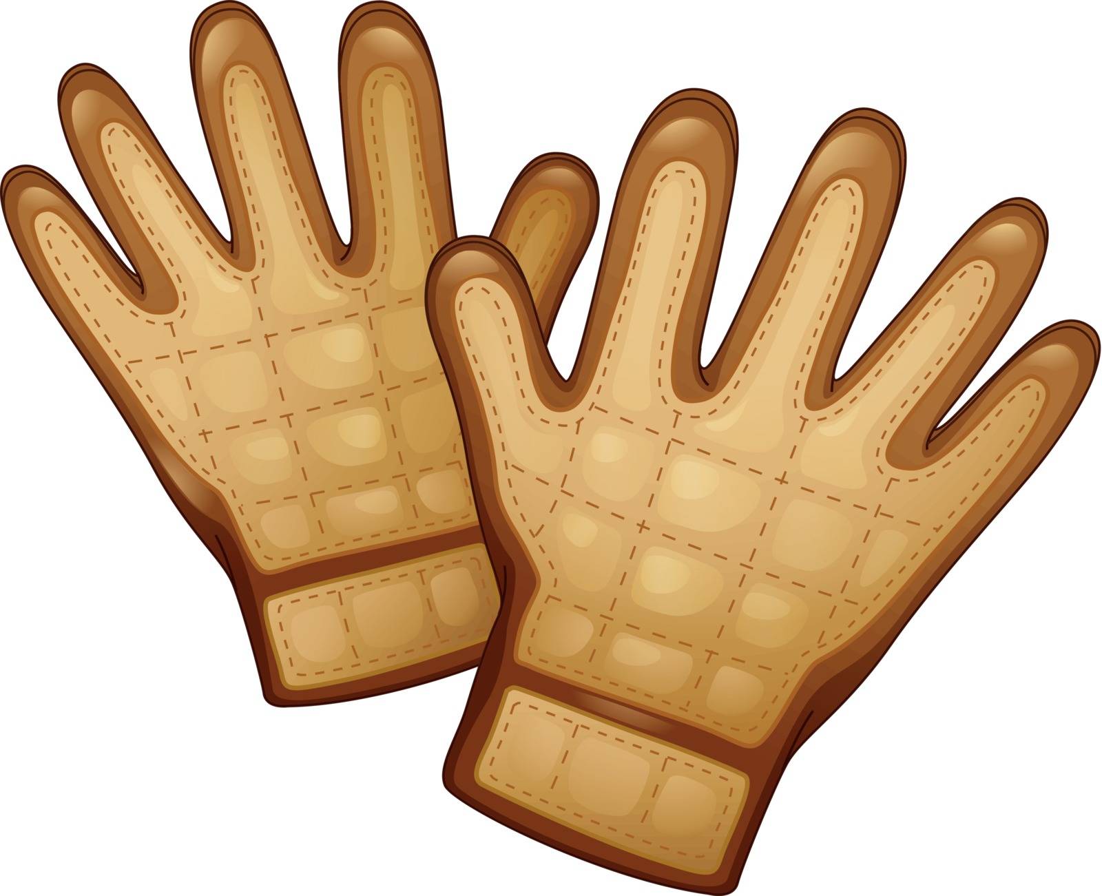 Illustration of a pair of leather gloves on a white background
