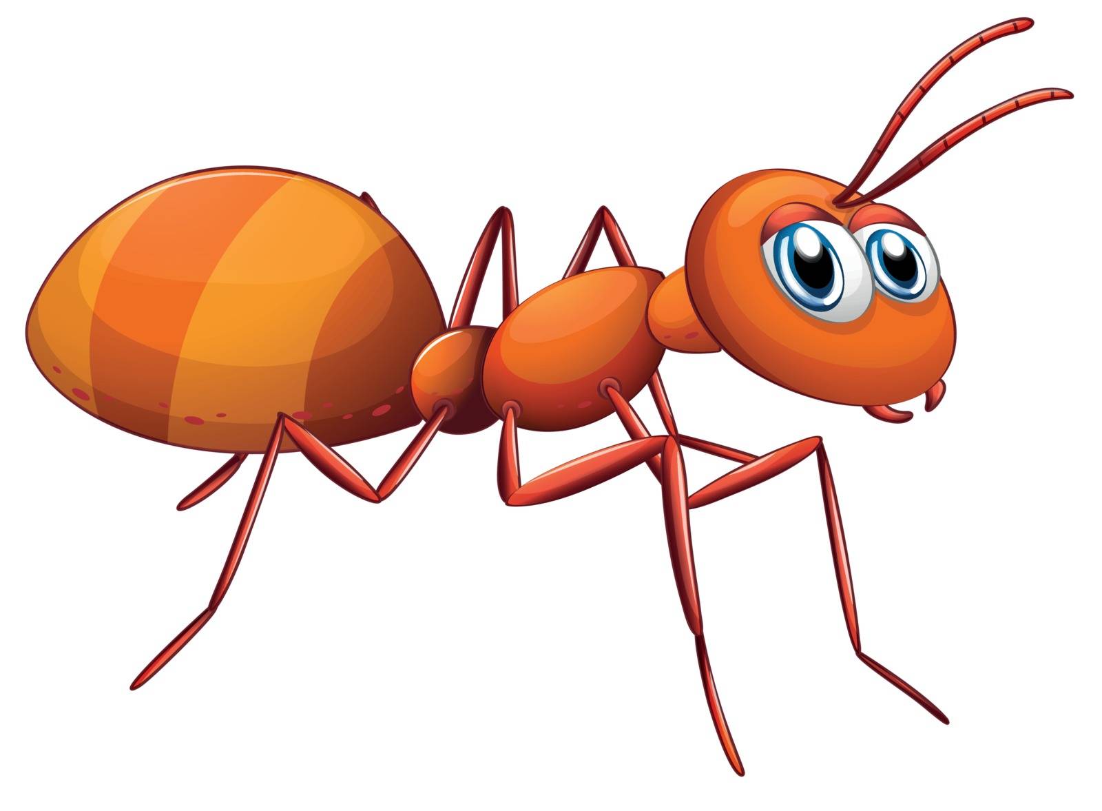 Illustration of a big ant on a white background