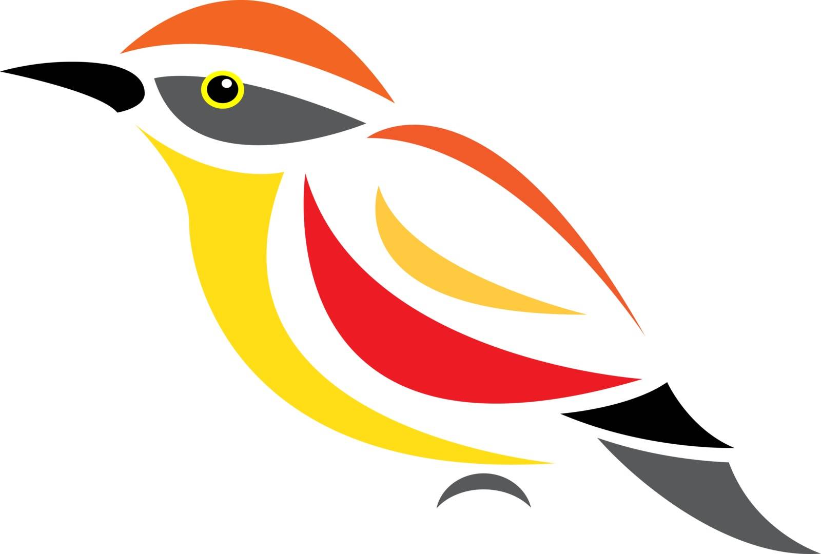 Vector image of an bird on white background 